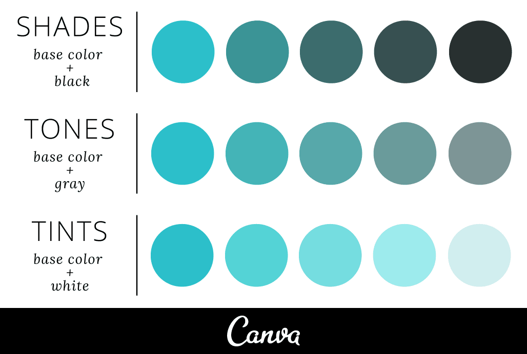 How to design with monochromatic colors—with expert tips from a designer