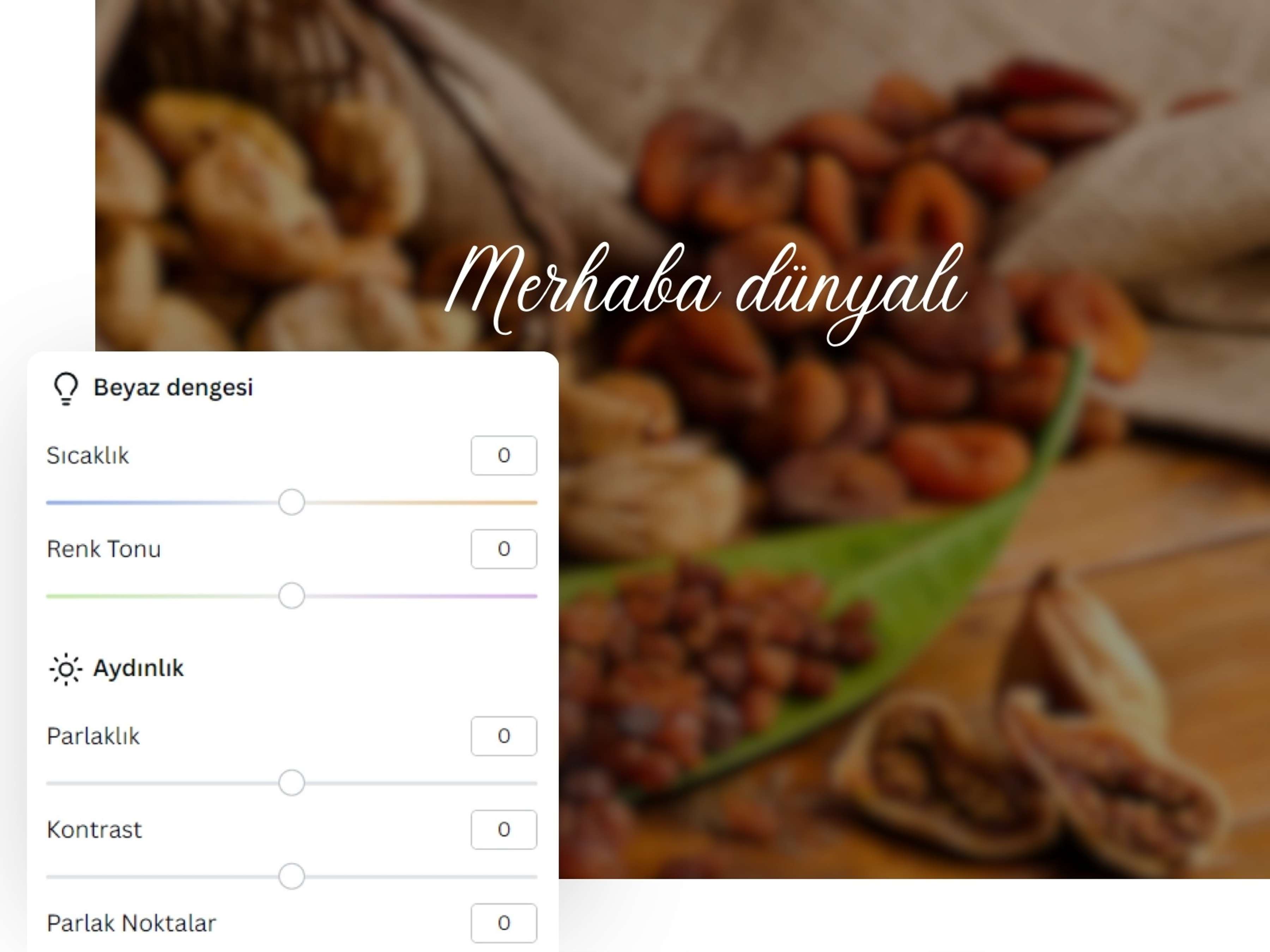 fotoğraf üstüne yazı yazma programsız - Canva