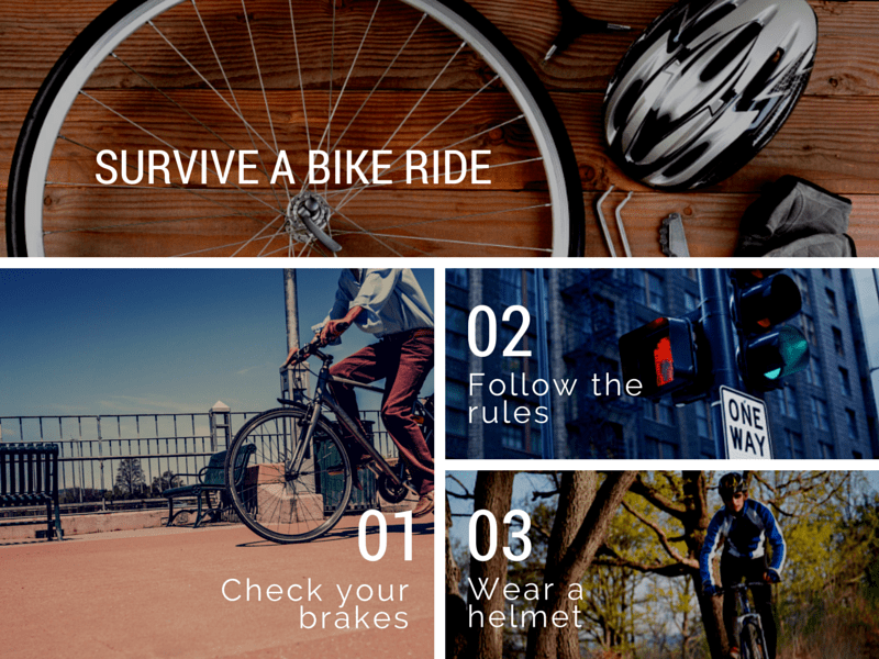 Empieza a usar cuadrículas con Canva