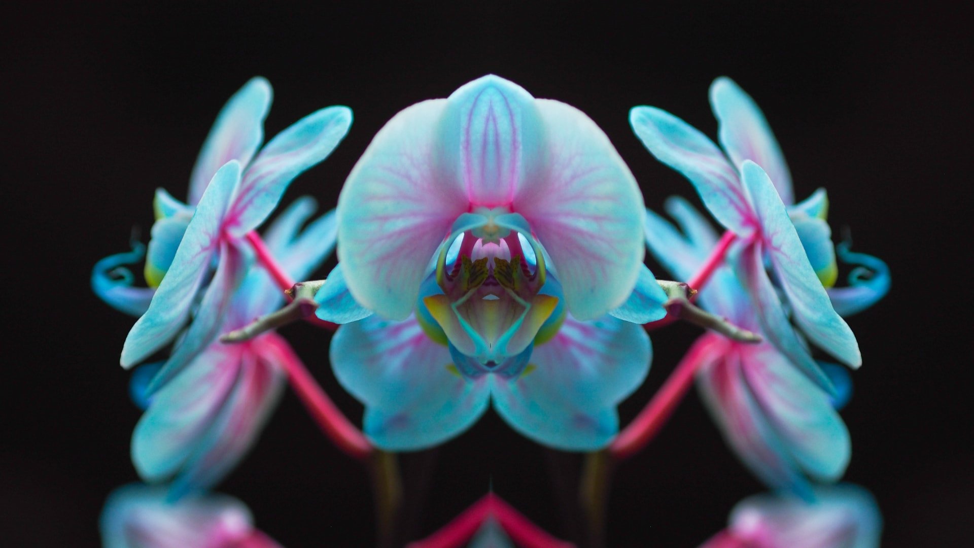 contrasting-colors