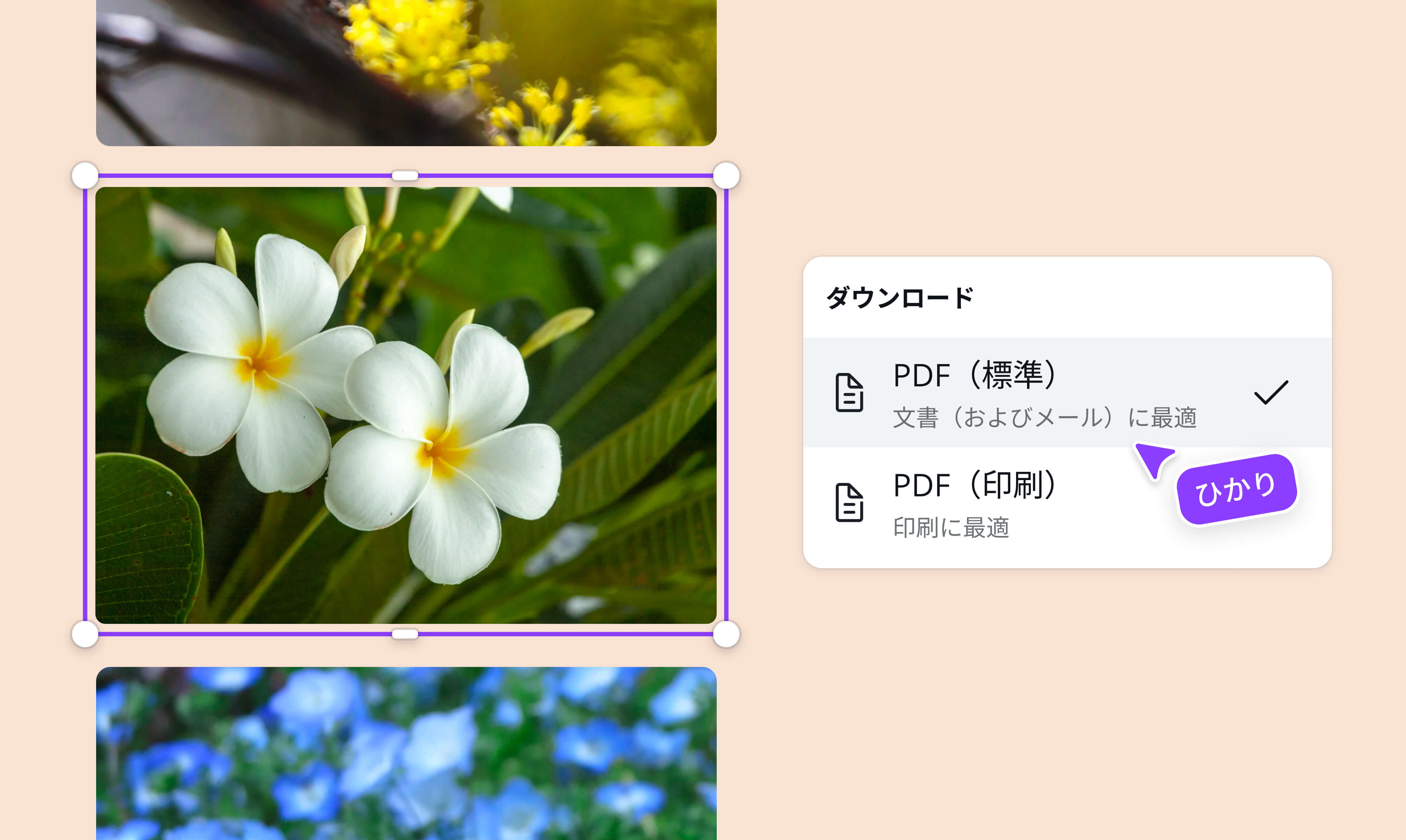 写真・画像をPDFに変換する