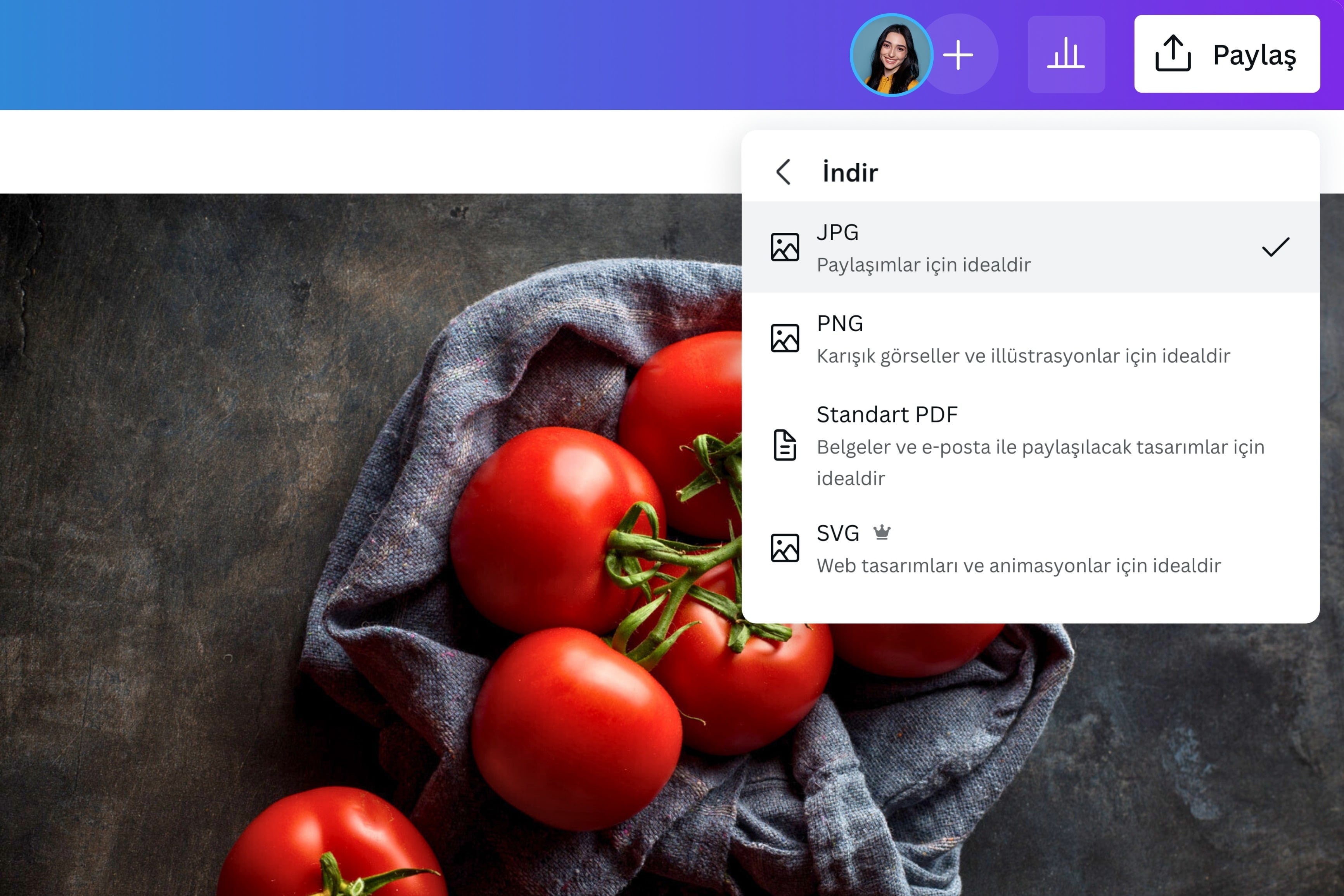 Canva Rasm Canva Özellikleriyle Yaratıcılığınızı Ortaya Çıkarın