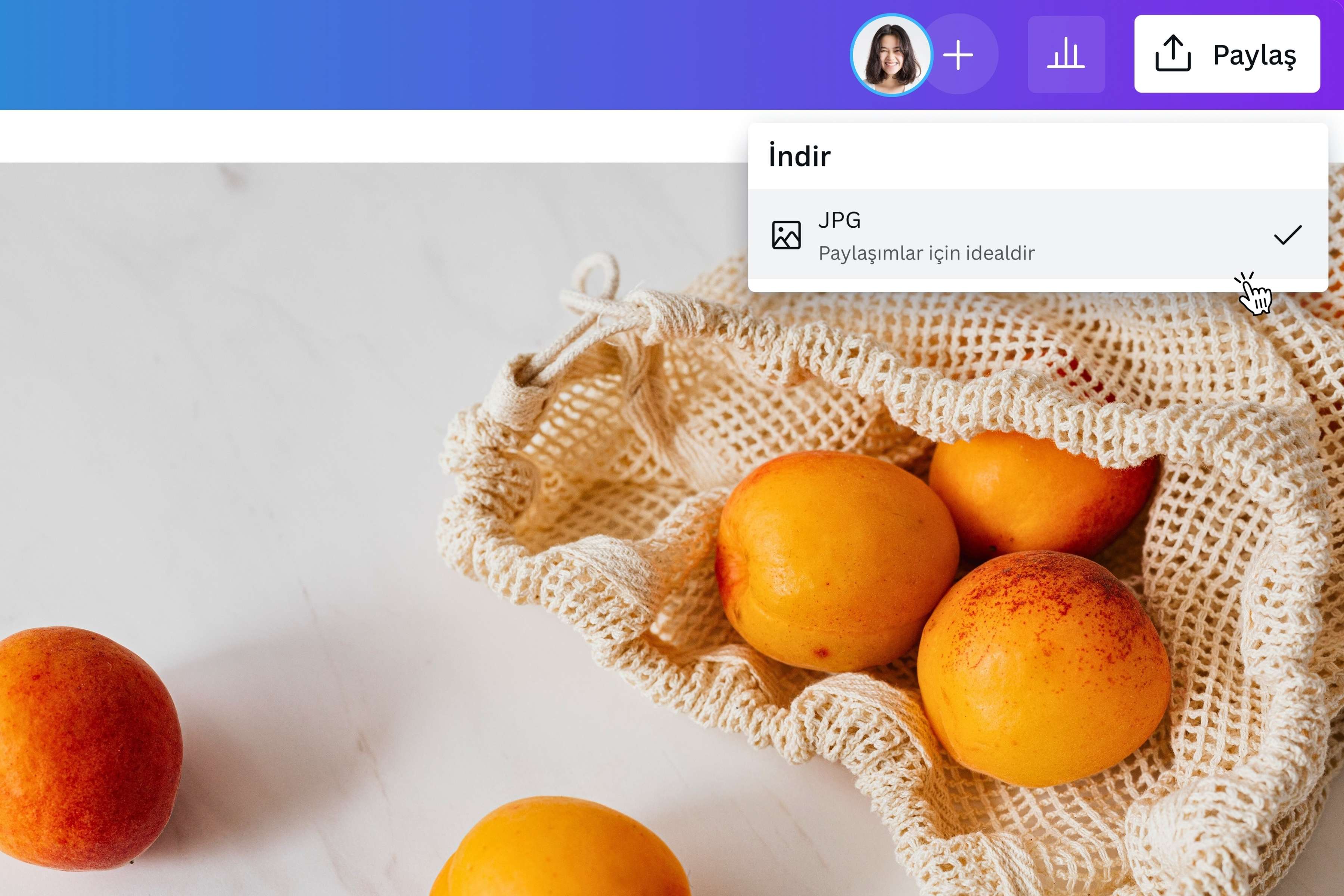 Ücretsiz WebP JPG Çevirme Aracı - Canva