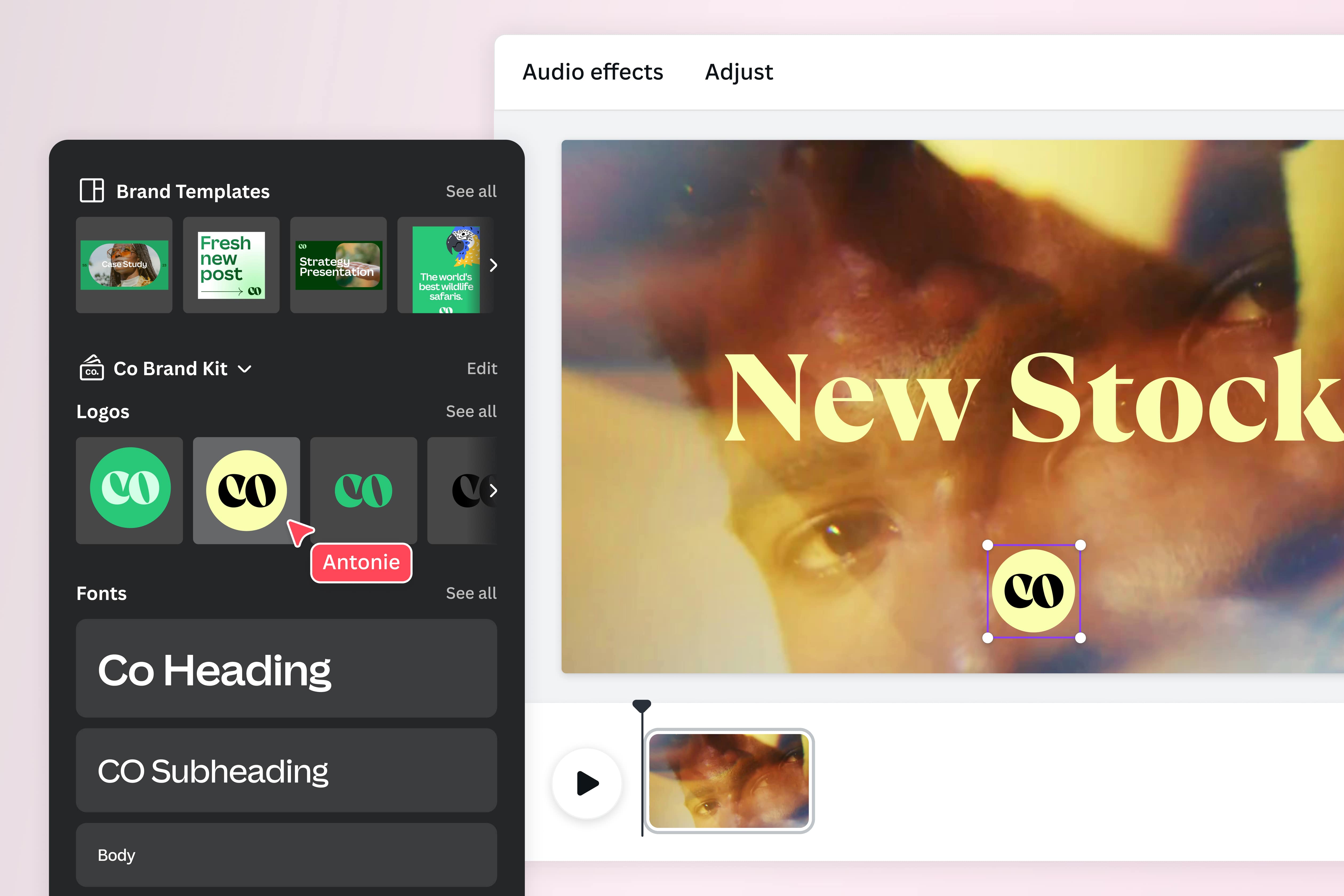Add your logo when you watermark videos