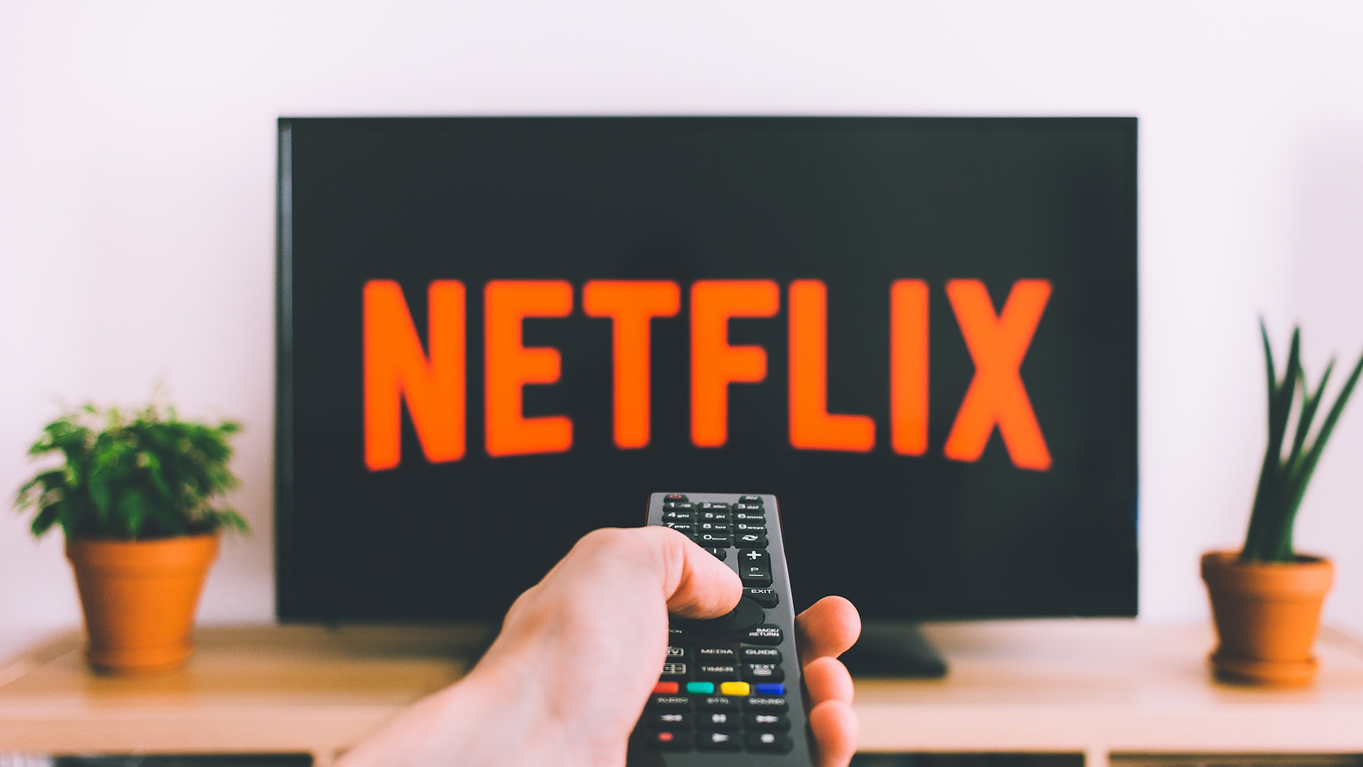canva, netflix