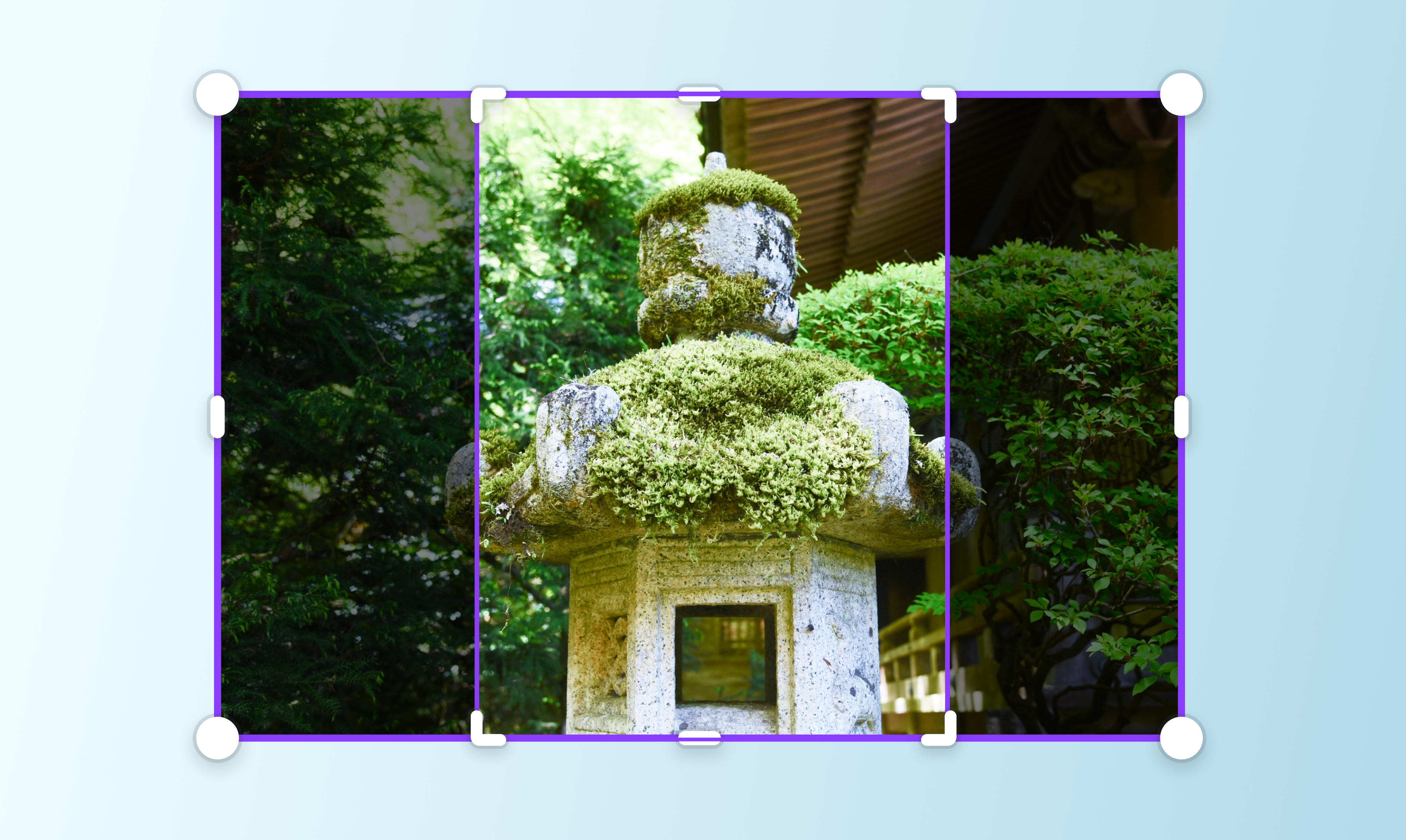画像サイズ変更。オンラインで写真・画像をリサイズ Canva(キャンバ)
