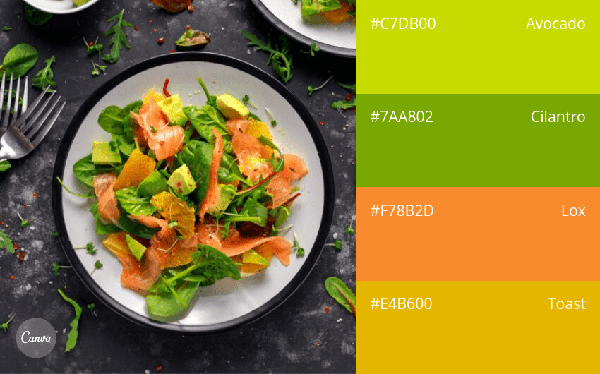 100 color combination ideas and examples | Canva