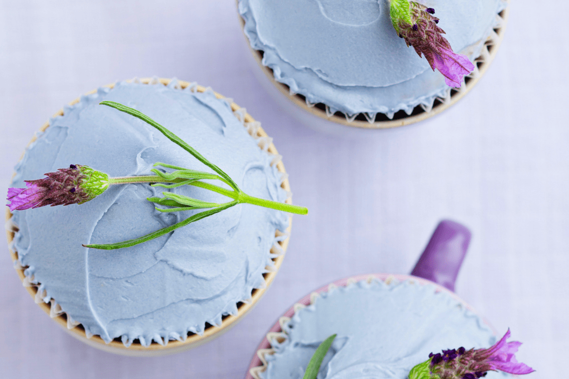 Color Combination Blueberry Frosting - Canva's Design Wiki