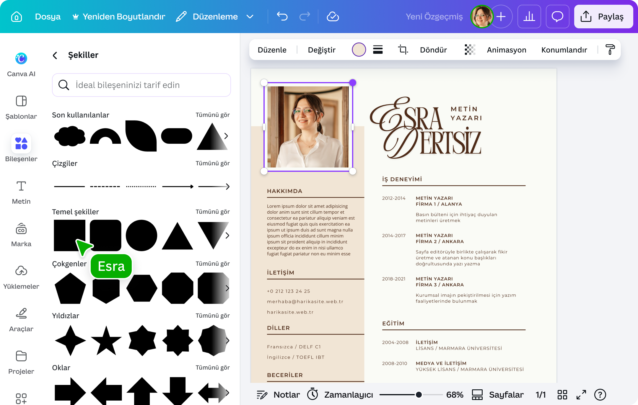 PDF üzerine yazı yazma - Canva