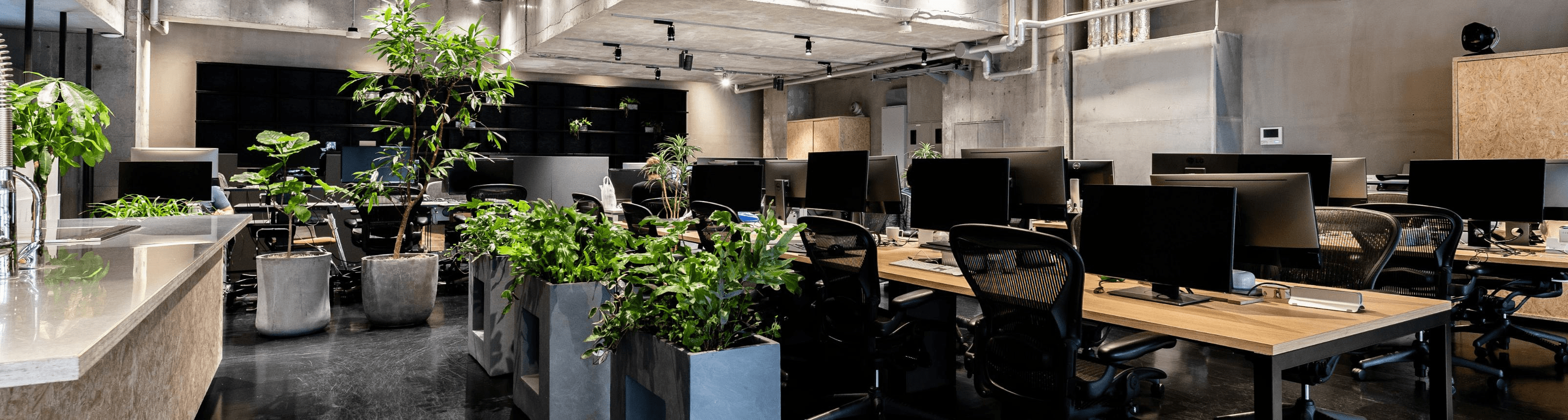 moneytree