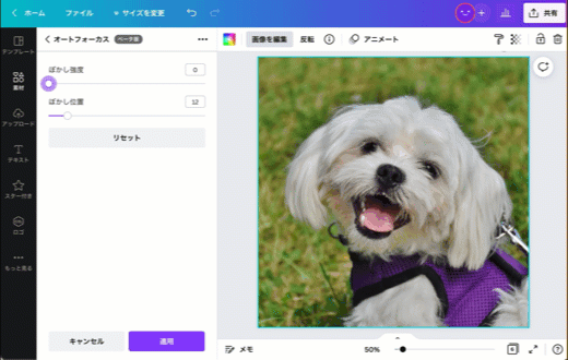 写真背景のぼかし加工