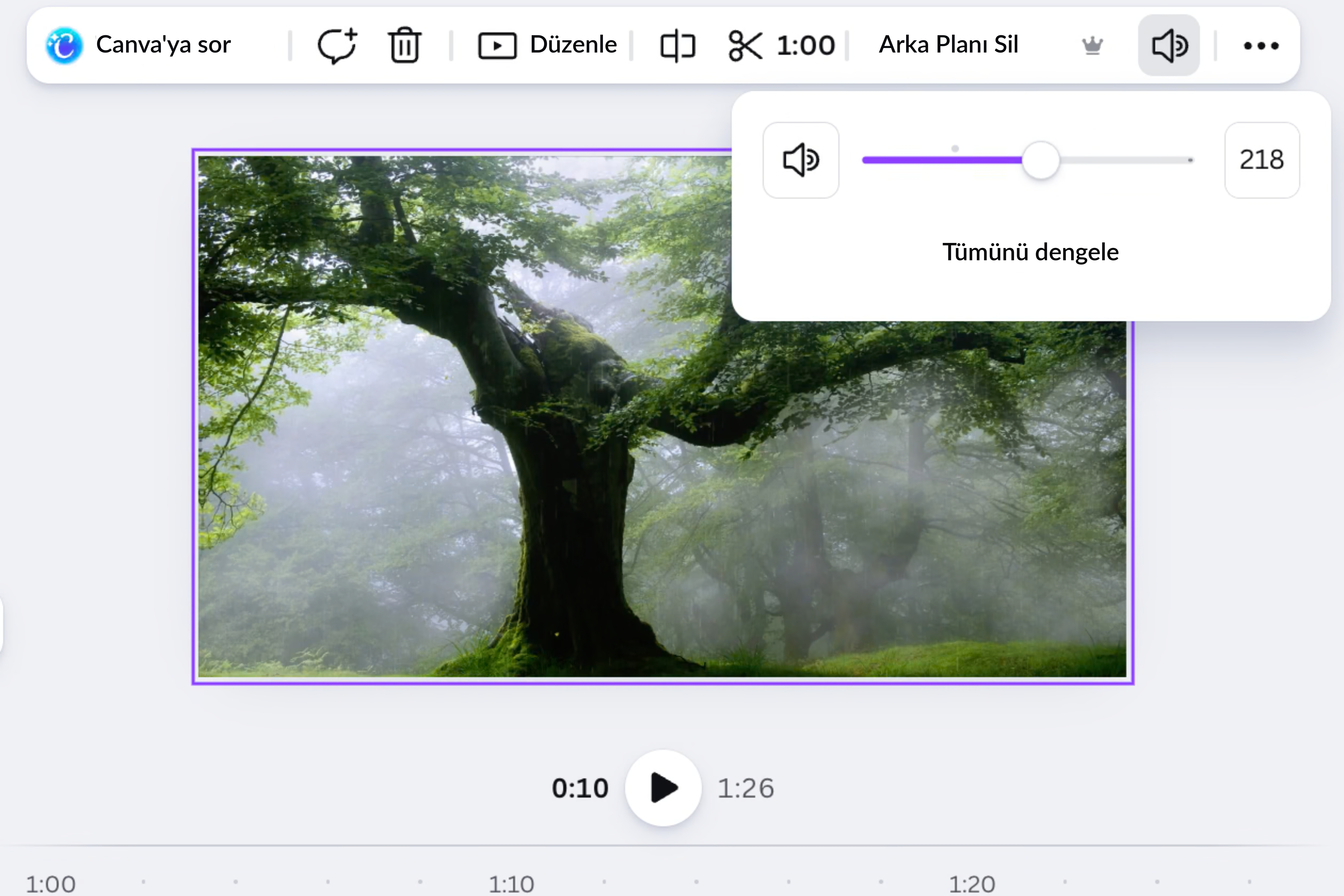 video ses arttırma aracı - Canva