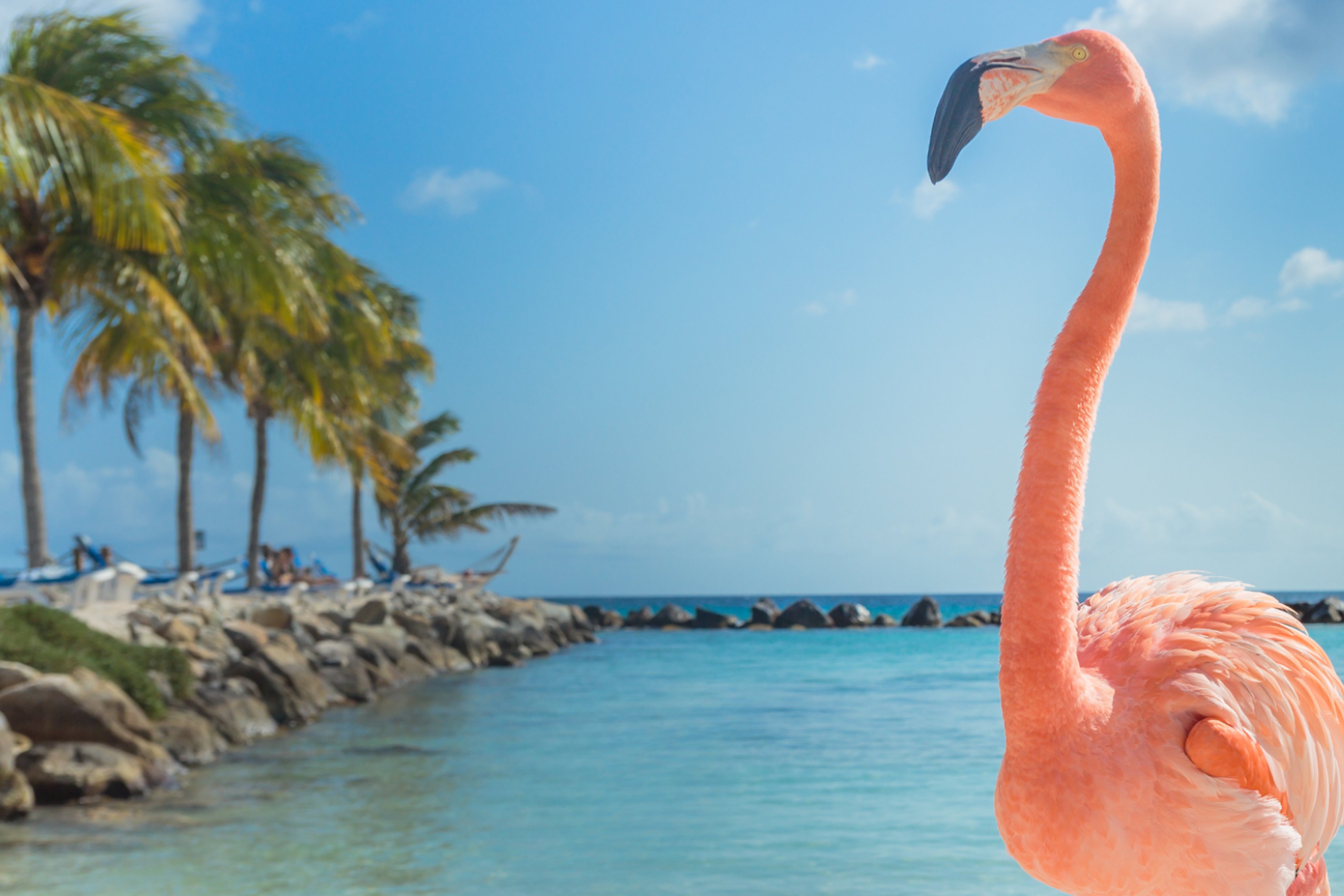 After applying magic eraser