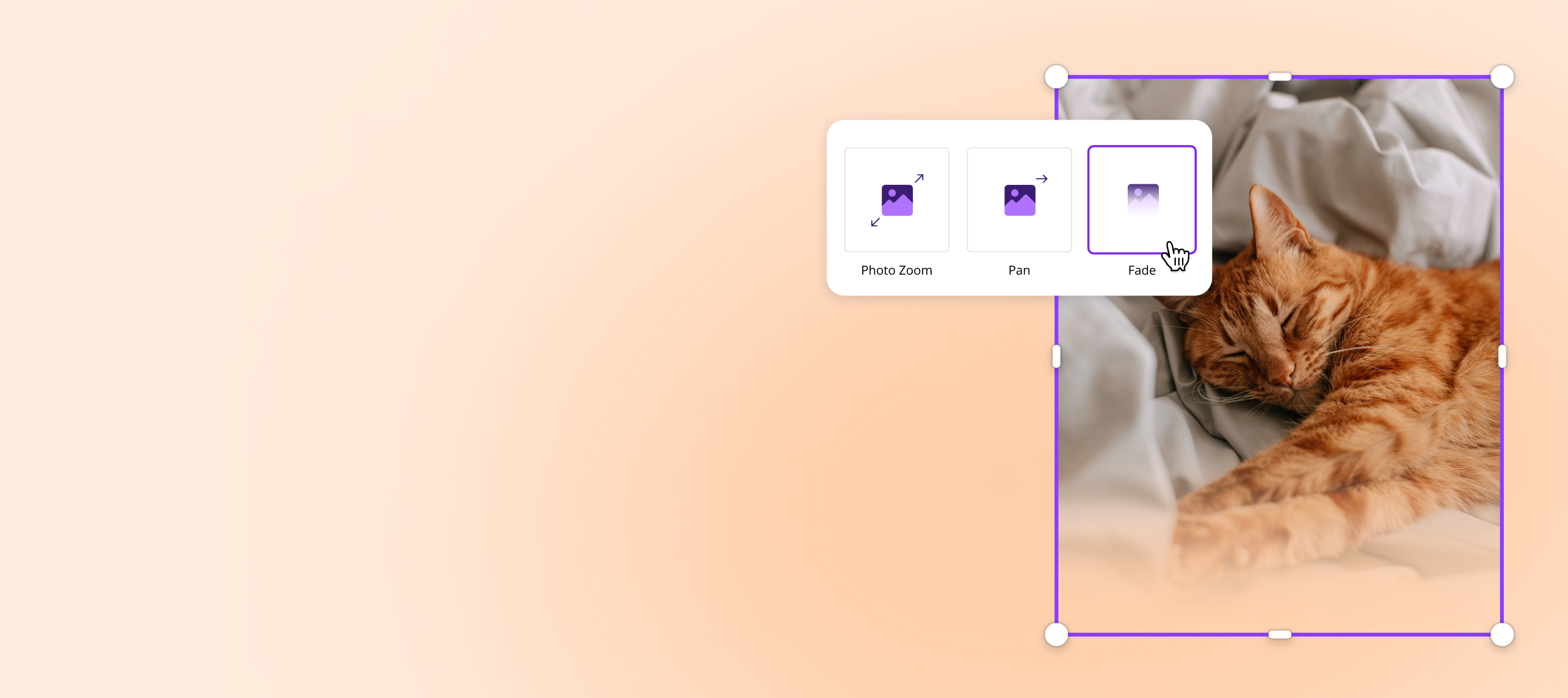 Outil d’animation photo de Canva ouverte sur une photo de chat endormi