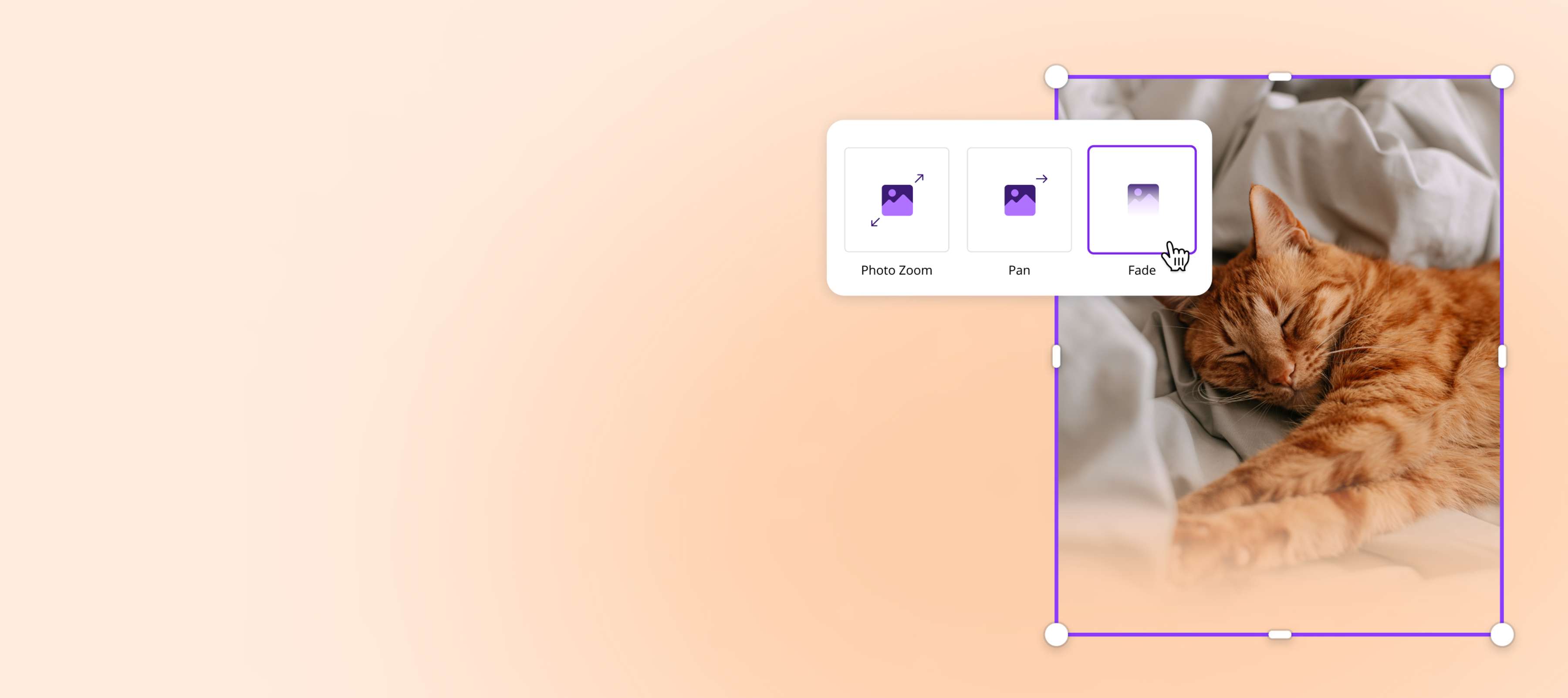 Outil d’animation photo de Canva ouverte sur une photo de chat endormi