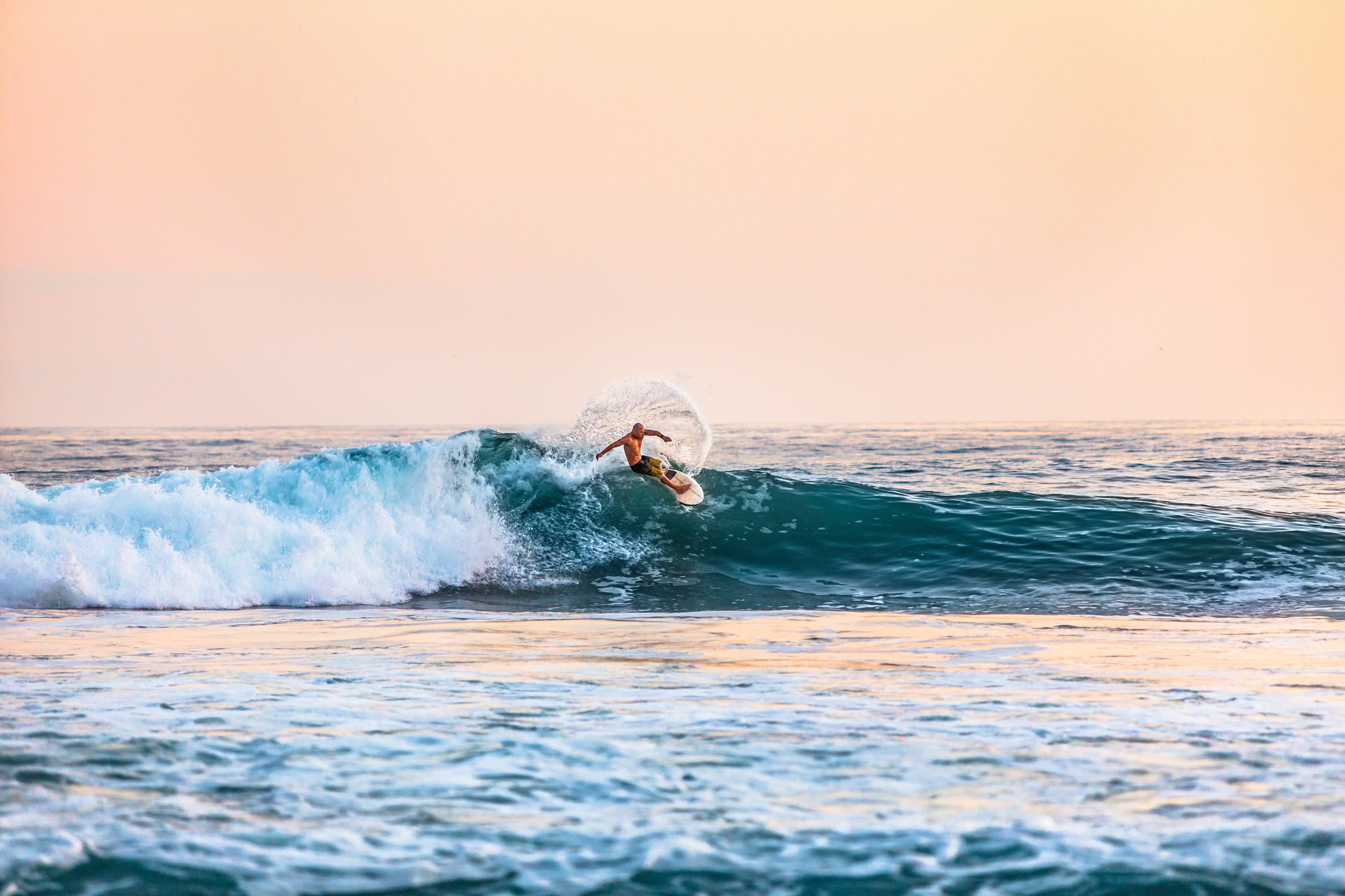 SubjectsInMotion23