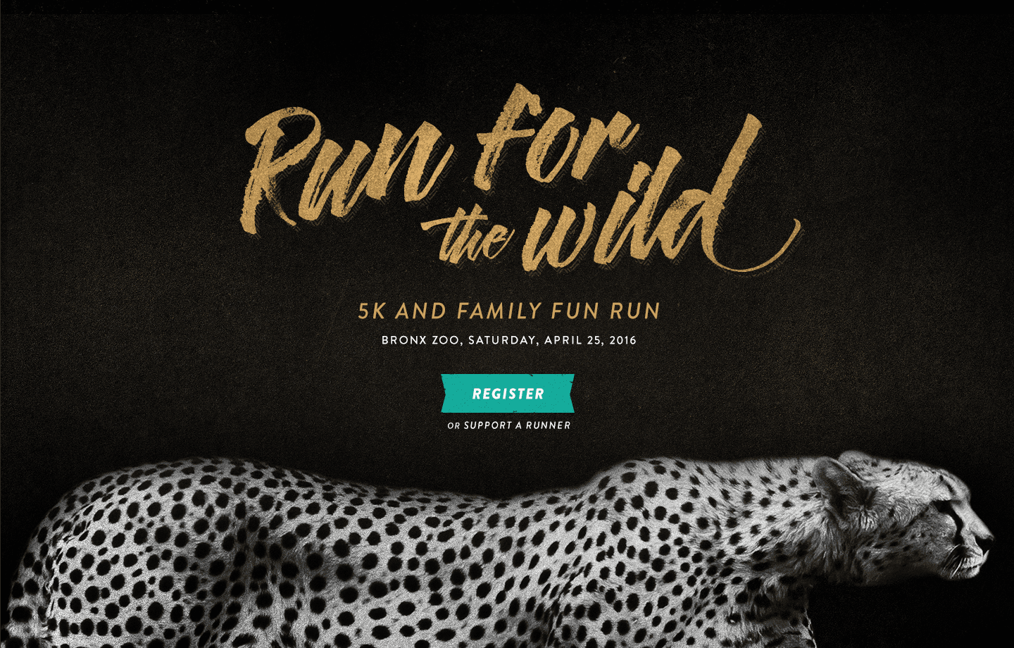 Marry text and images in your designs | Canva
