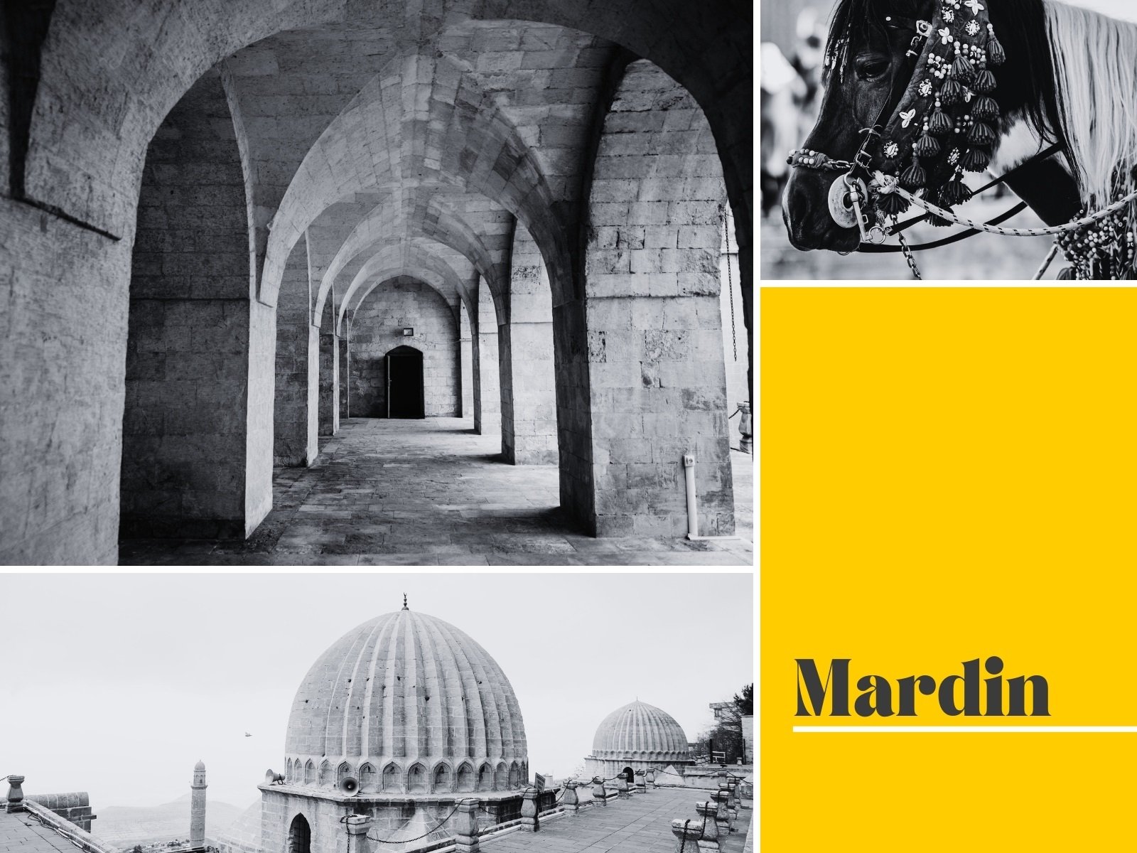 fotoğraf ızgarası ile çoklu fotoğraf birleştirme - Canva