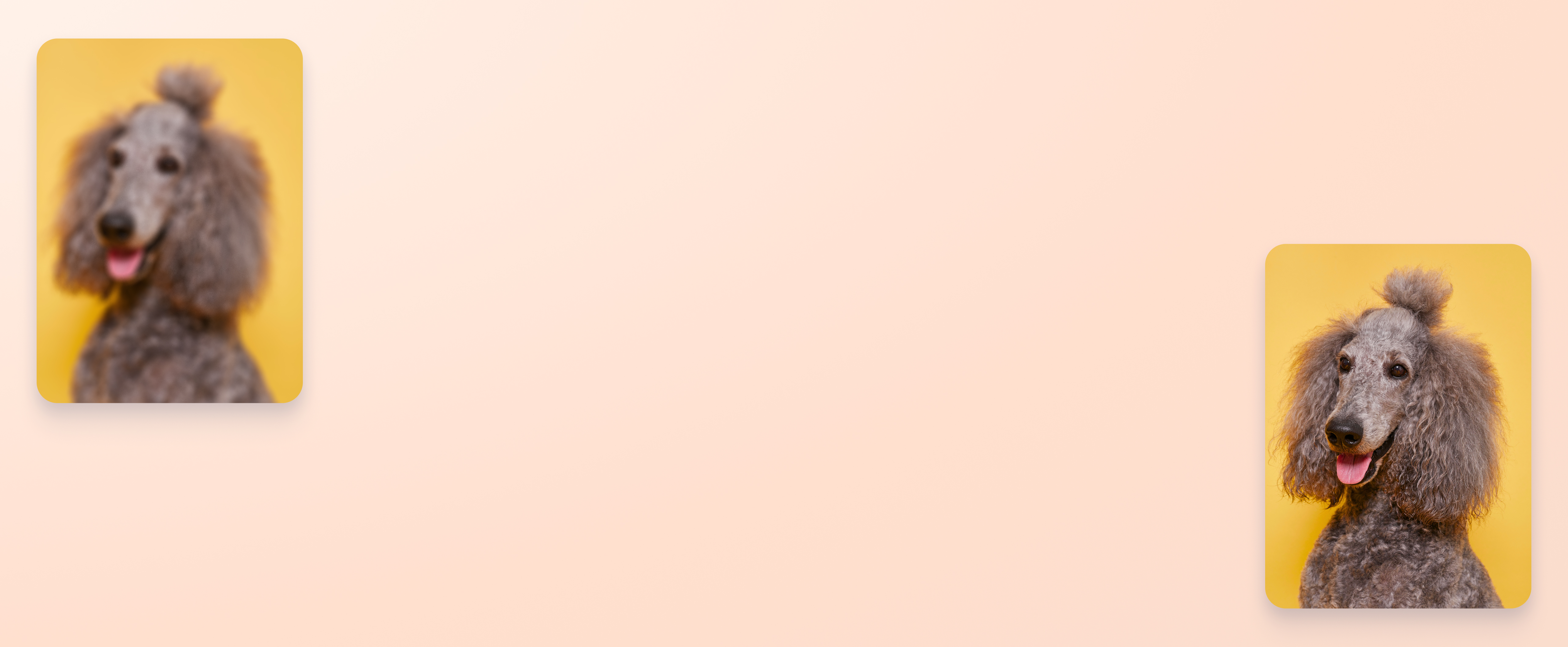 Sharpen Images Feature Banner