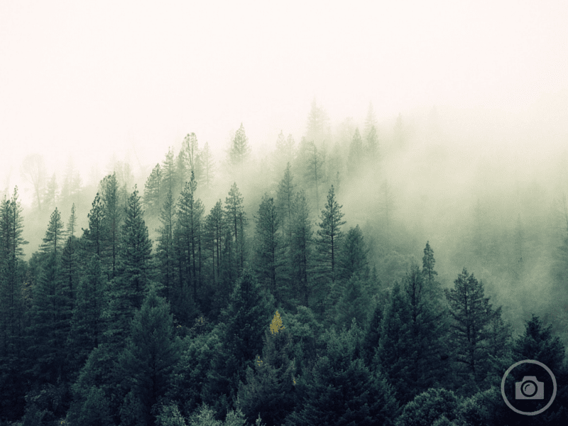 LP_Прозорі зображення_04