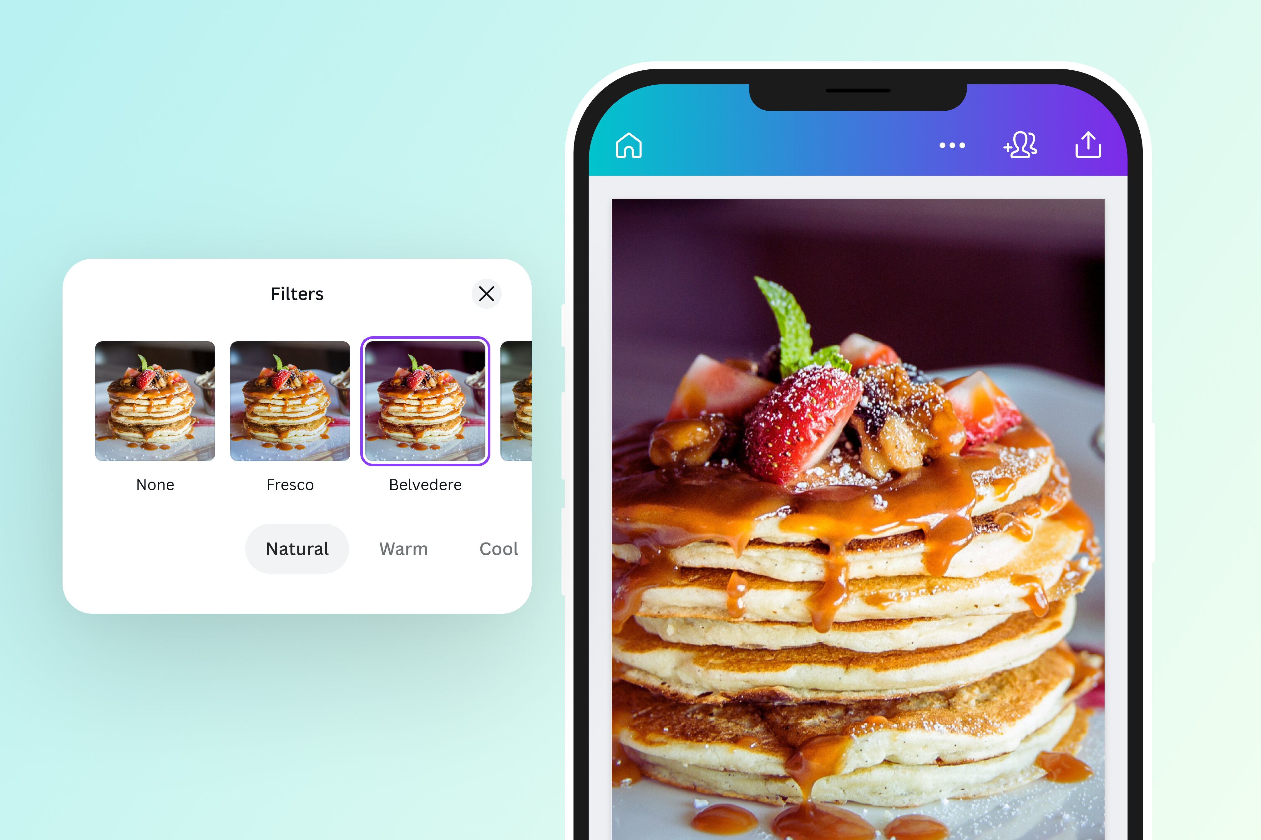 Apply Natural or other filters to your image Apply Natural or other filters to your image