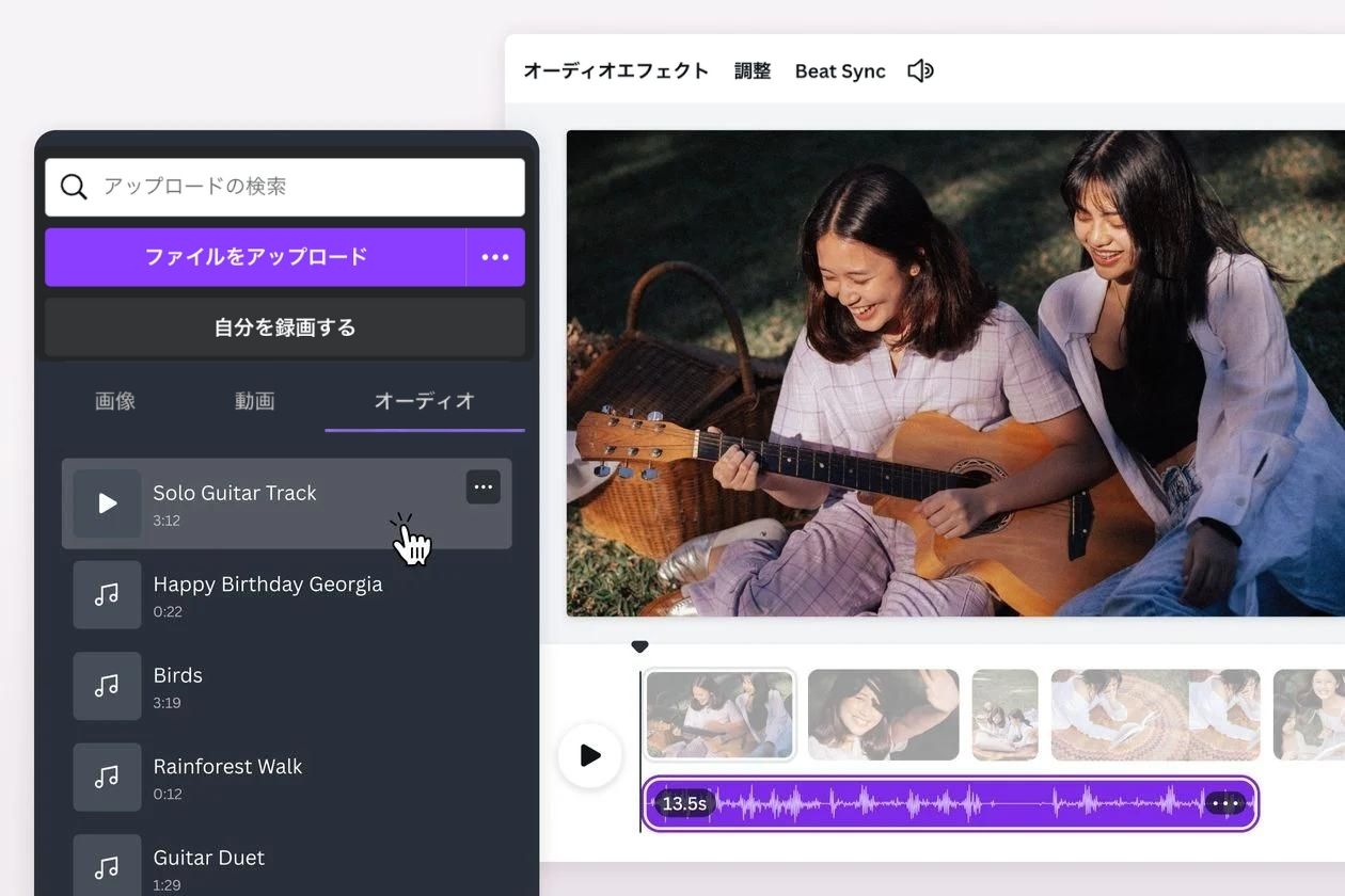動画に音楽を挿入し個性を与える 動画に音楽を挿入し個性を与える