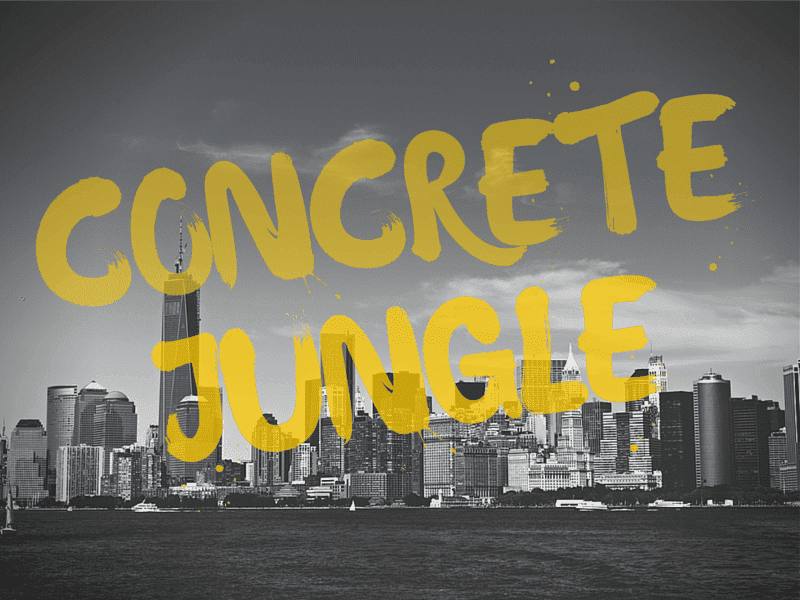 LP_Прозрачные изображения_05