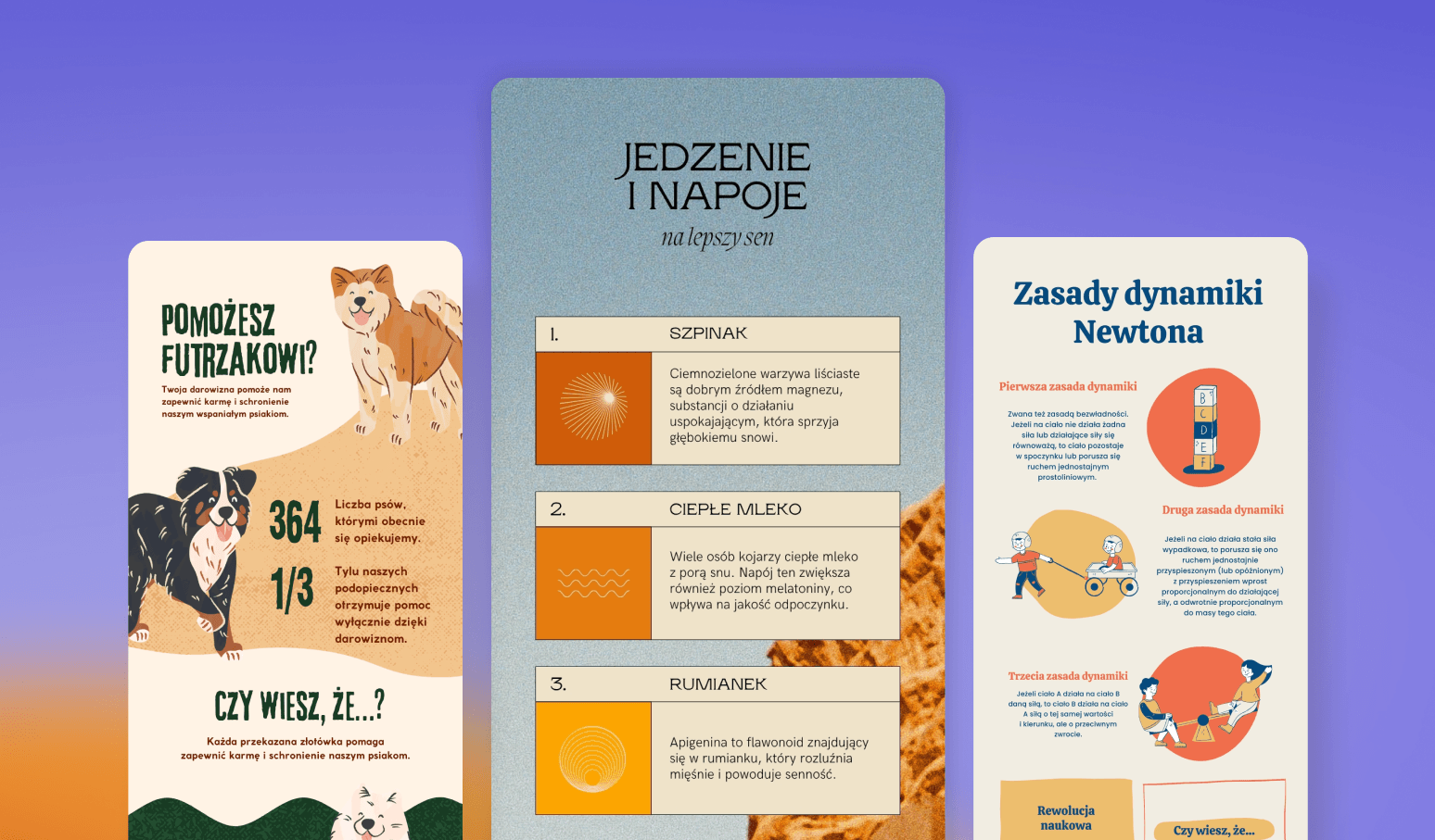 Infografiki w Canva