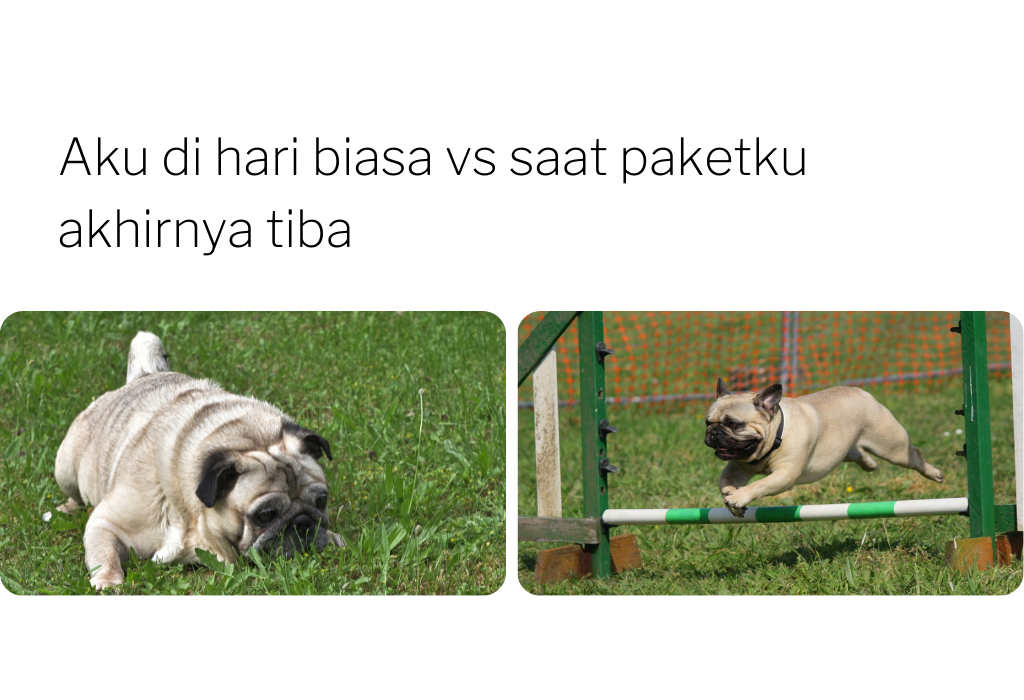 edit meme - Canva