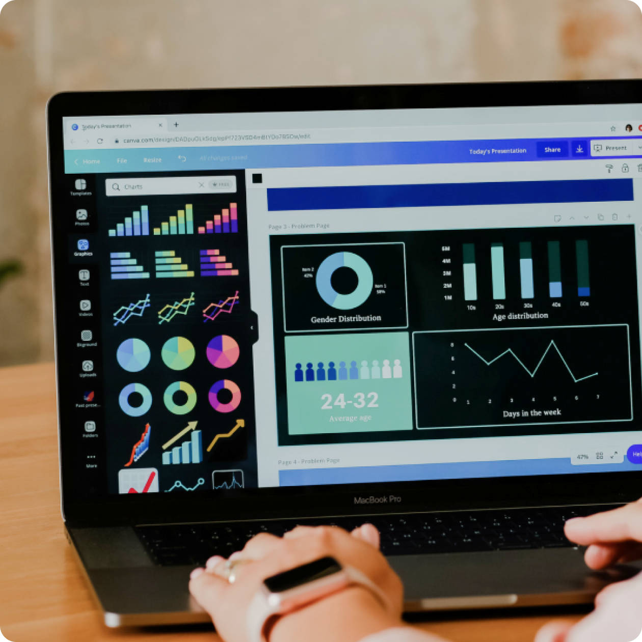 Data visualization examples in Canva