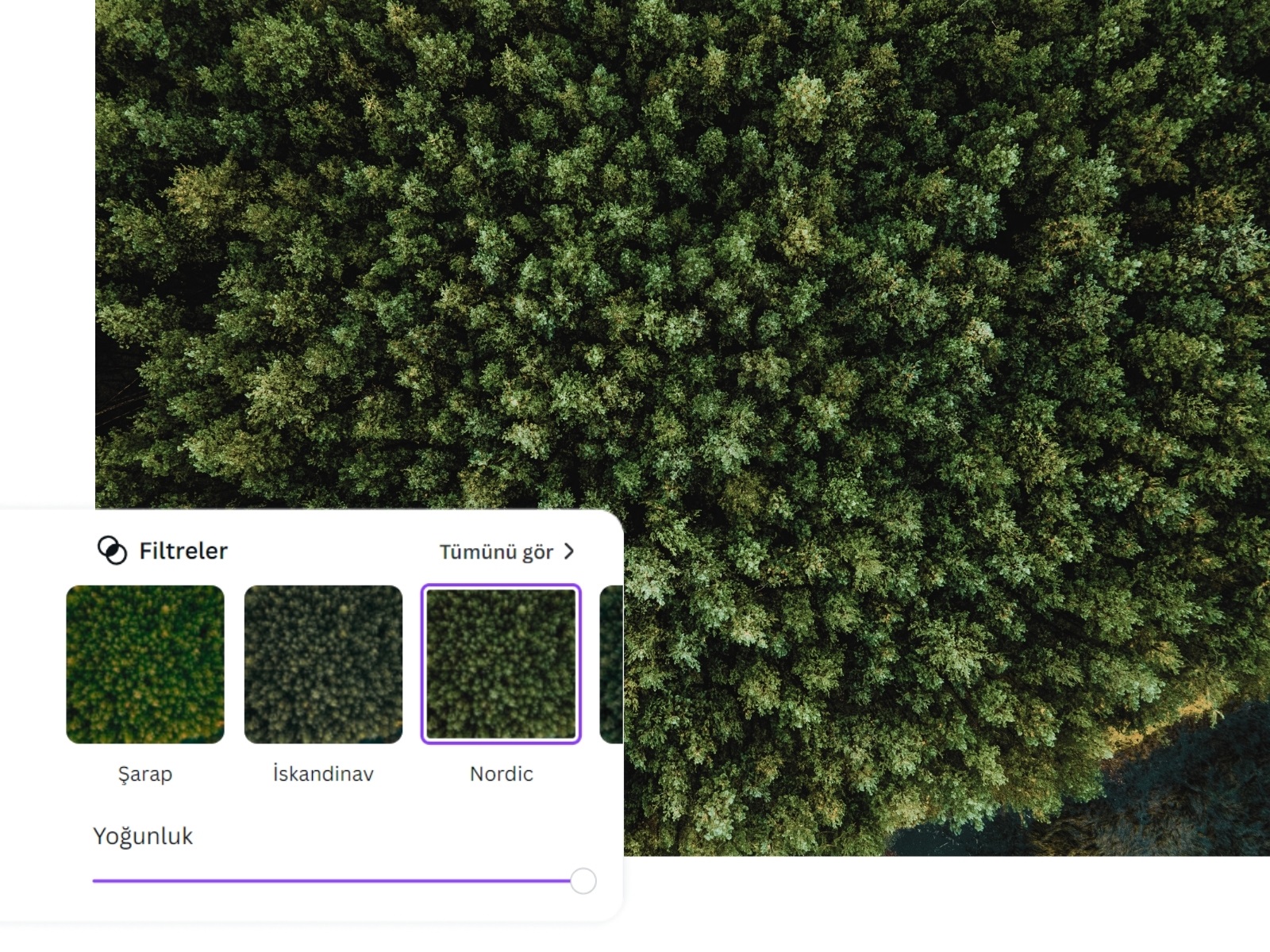 fotoğrafa filtre uygulama - Canva fotoğrafa filtre uygulama - Canva