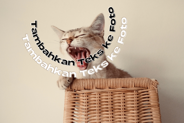 Fitur tambah teks di foto