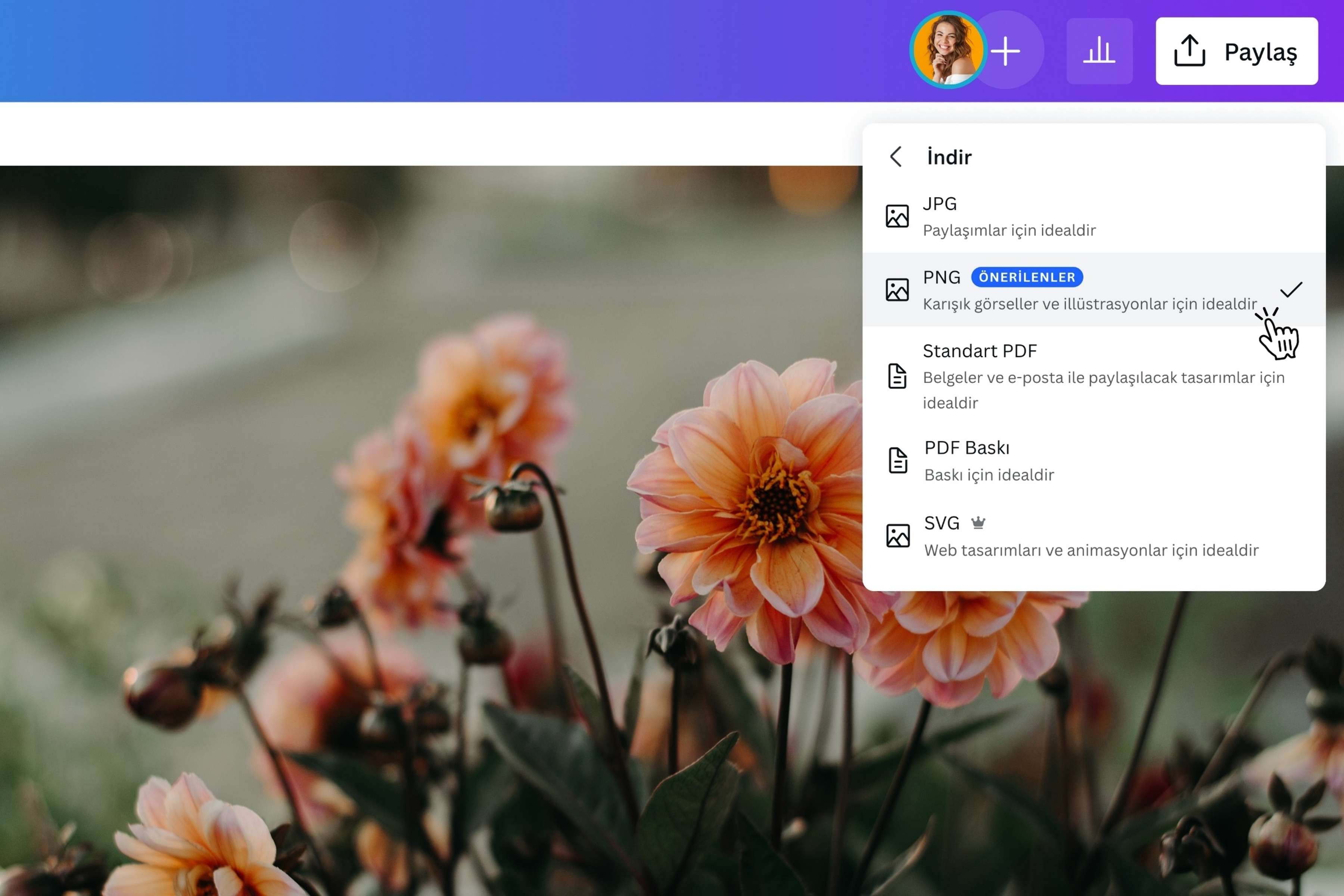 JPG PNG çevirme aracı - Canva