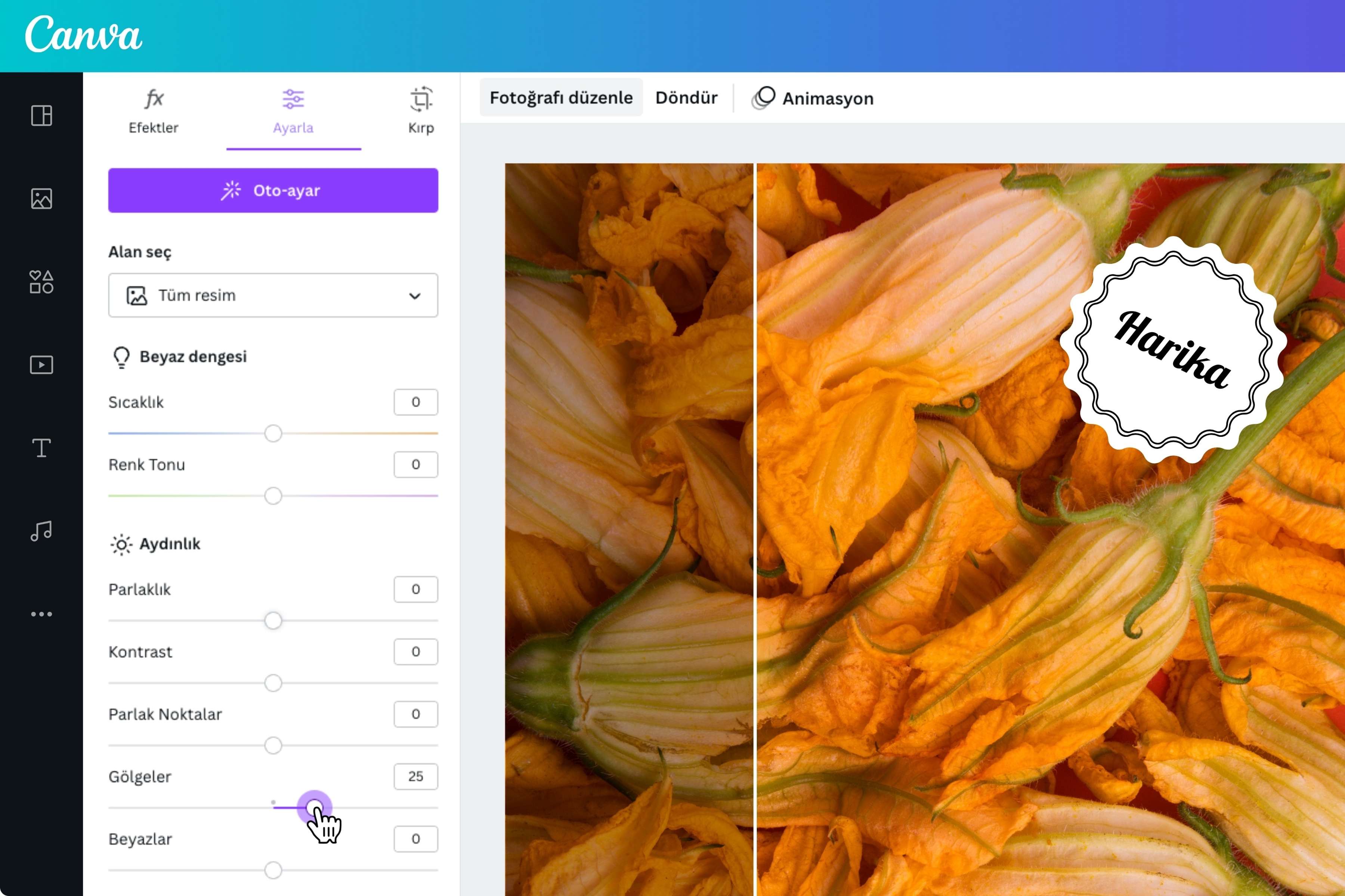 JPG yi PNG yapma ve düzenleme - Canva