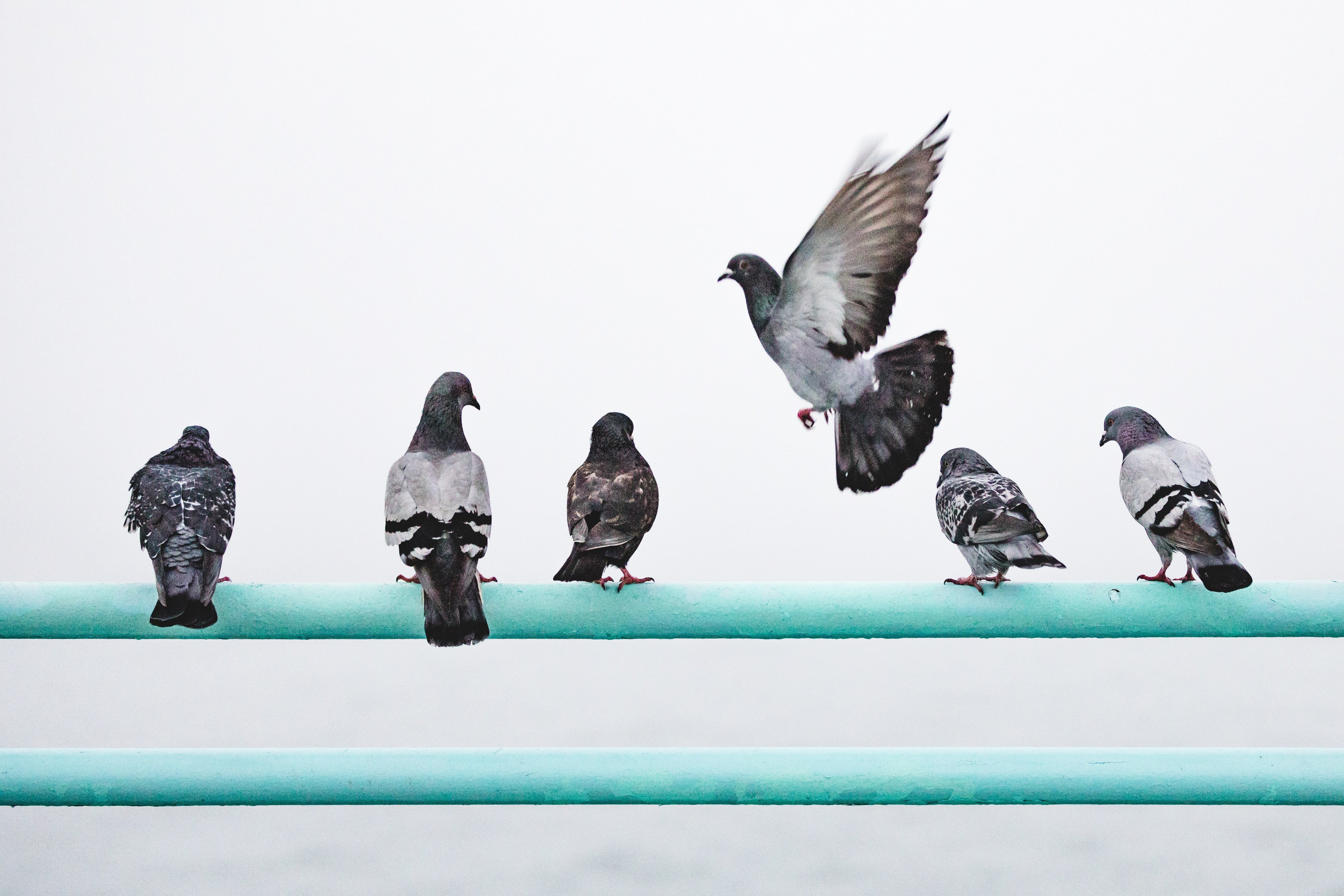 nathan-dumlao-552253-unsplash11