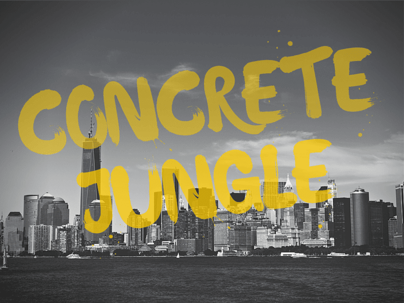 LP_Прозорі зображення_05