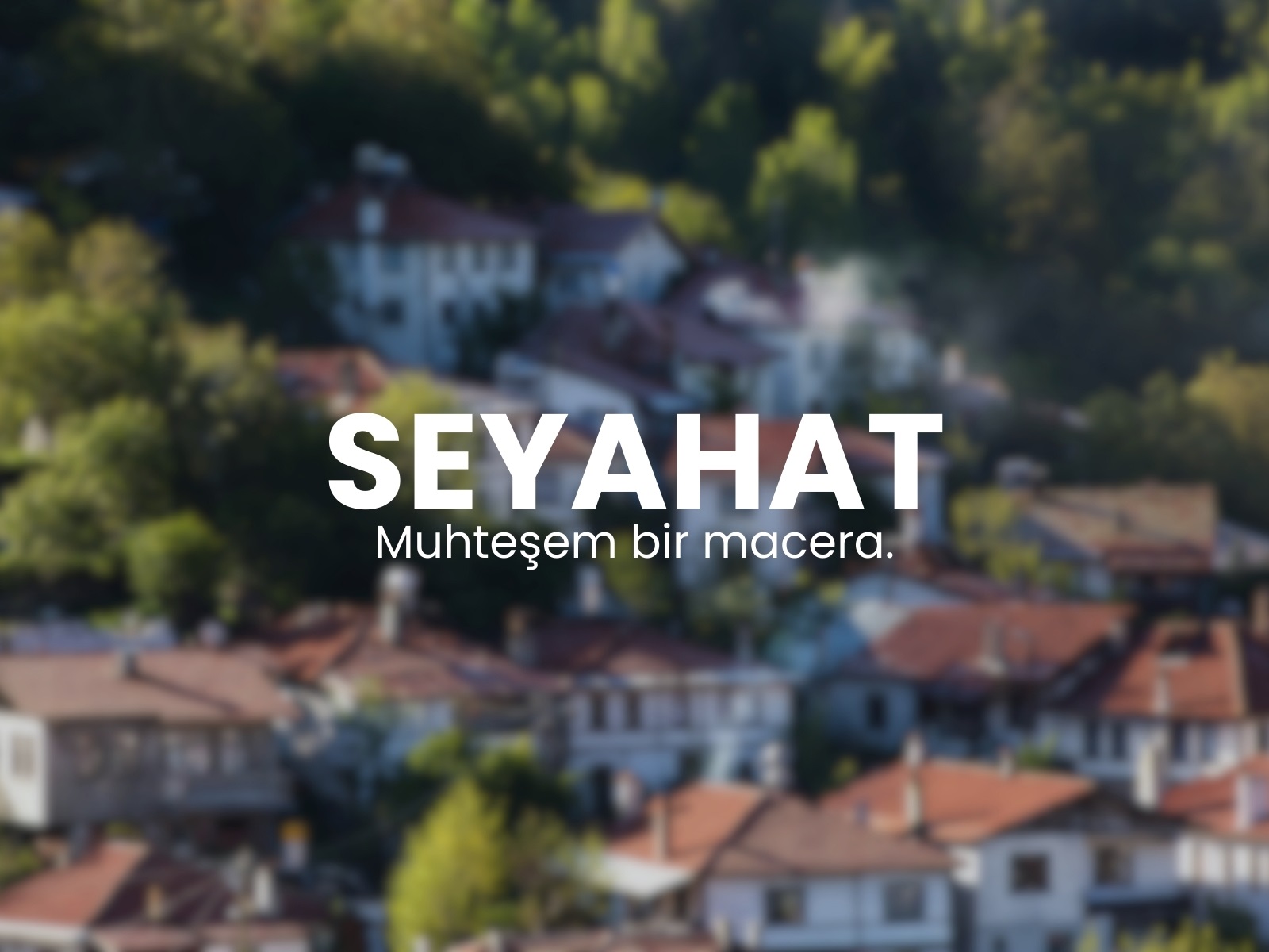 fotoğraf arka plan bulanıklaştırma - Canva