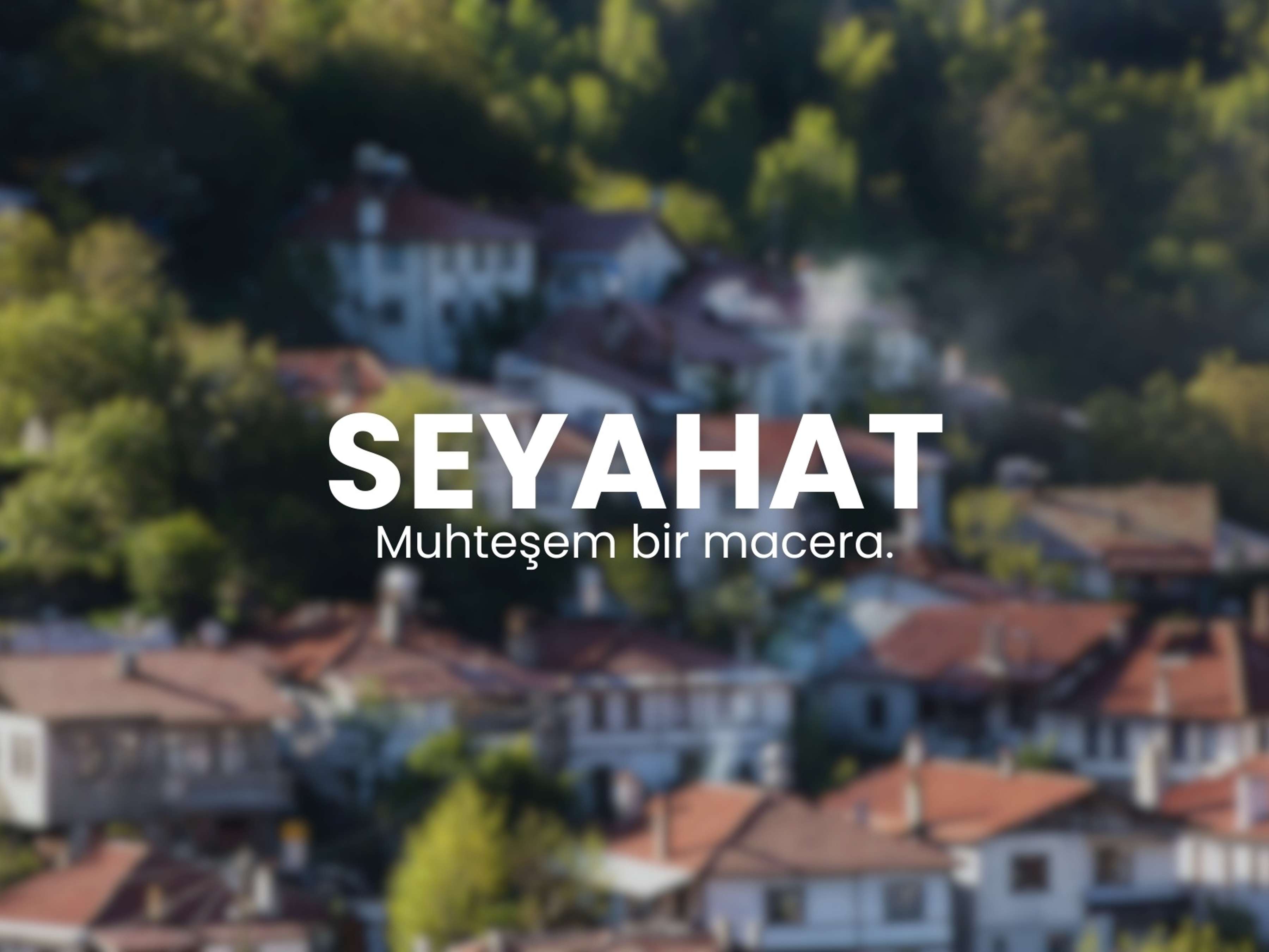 fotoğraf arka plan bulanıklaştırma - Canva