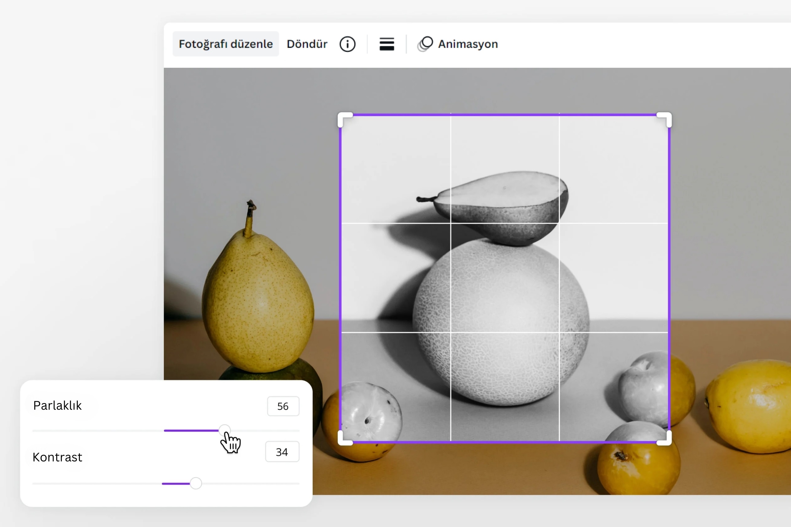 siyah beyaz fotoğraflar yapma - Canva siyah beyaz fotoğraflar yapma - Canva