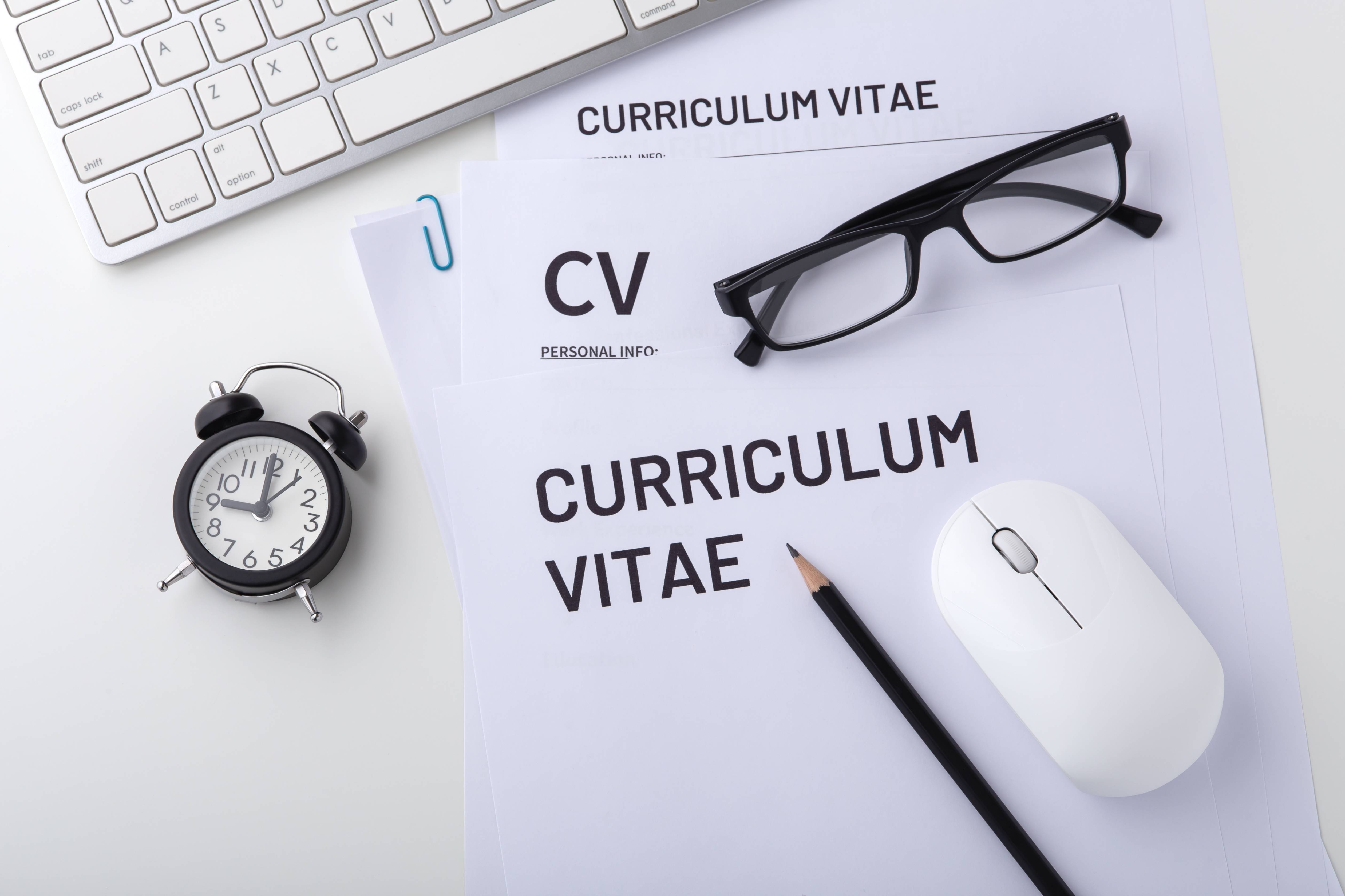 cv lamaran kerja pdf