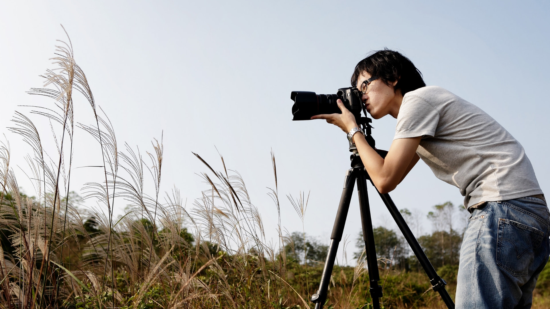 canva, photographie, photographe, entreprise