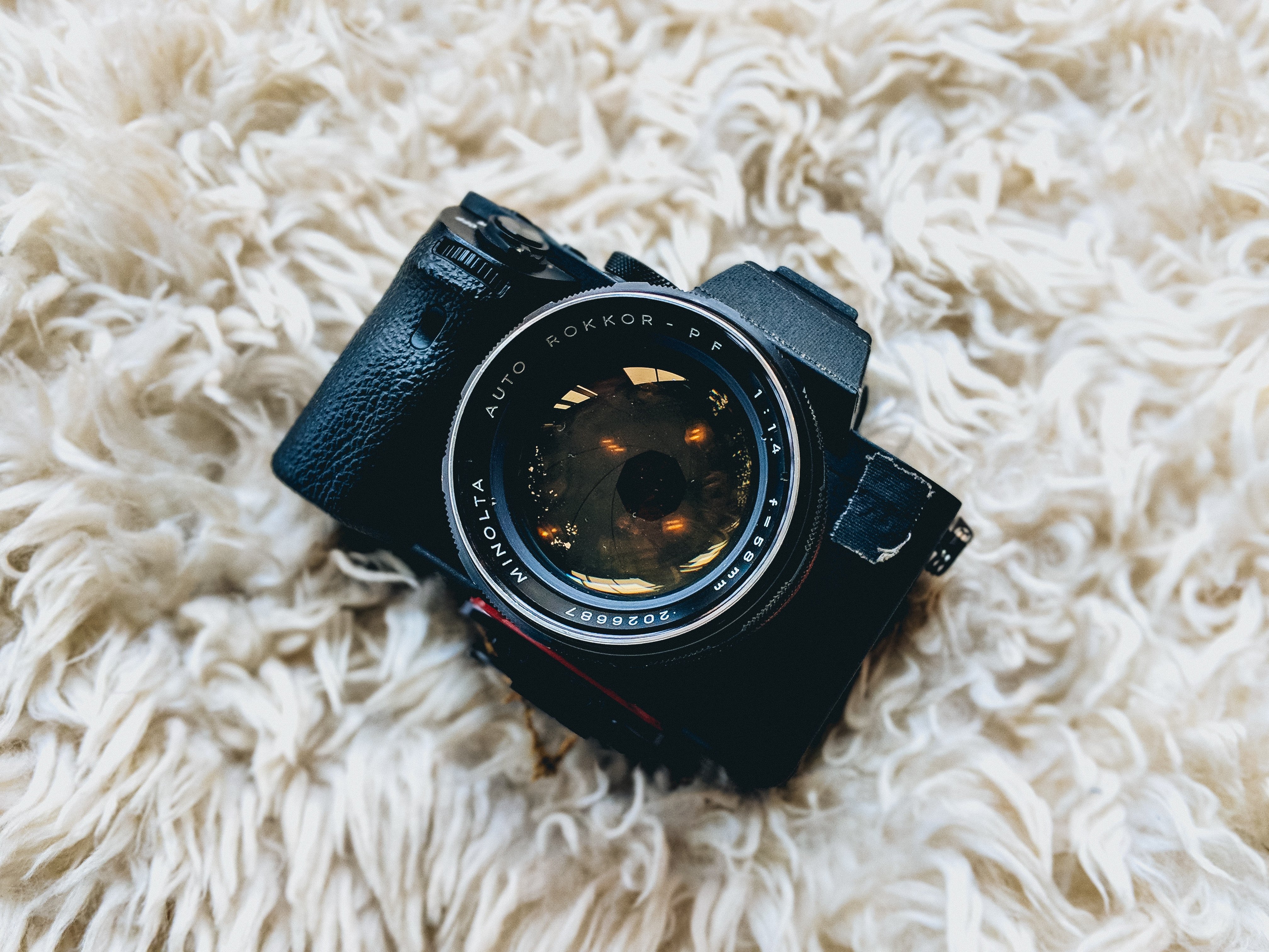 dan-gold-501601-unsplash