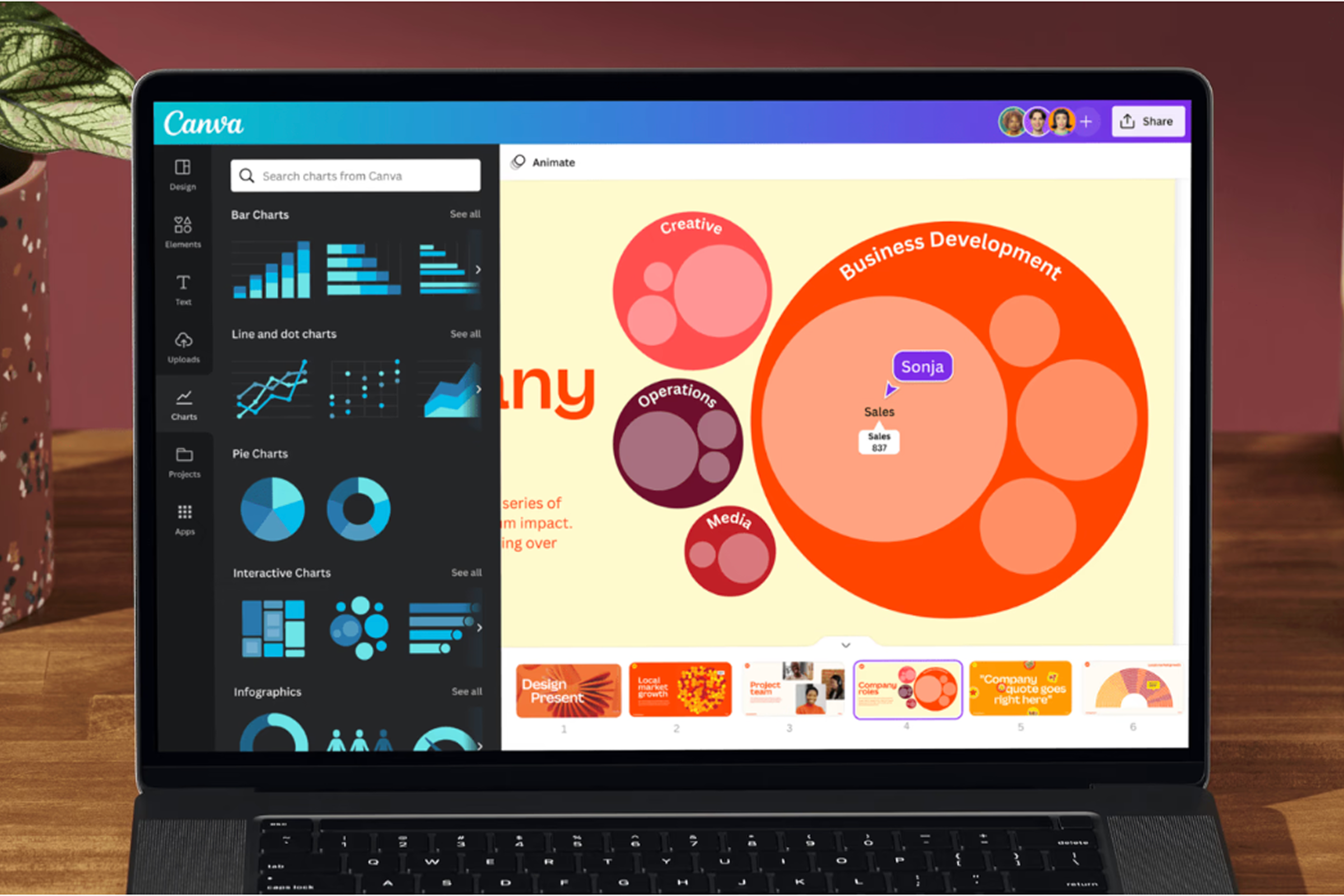 Data visualization online: visualizza dati online | Canva