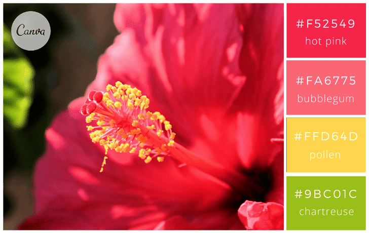 100 Kombinasi Warna Brilian dan Cara Menggunakan pada Desain - Canva