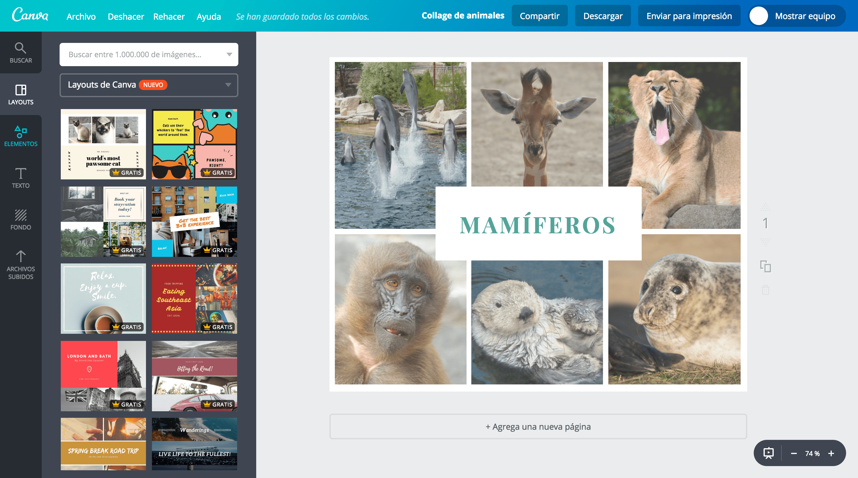 Collage de animales Collage de animales