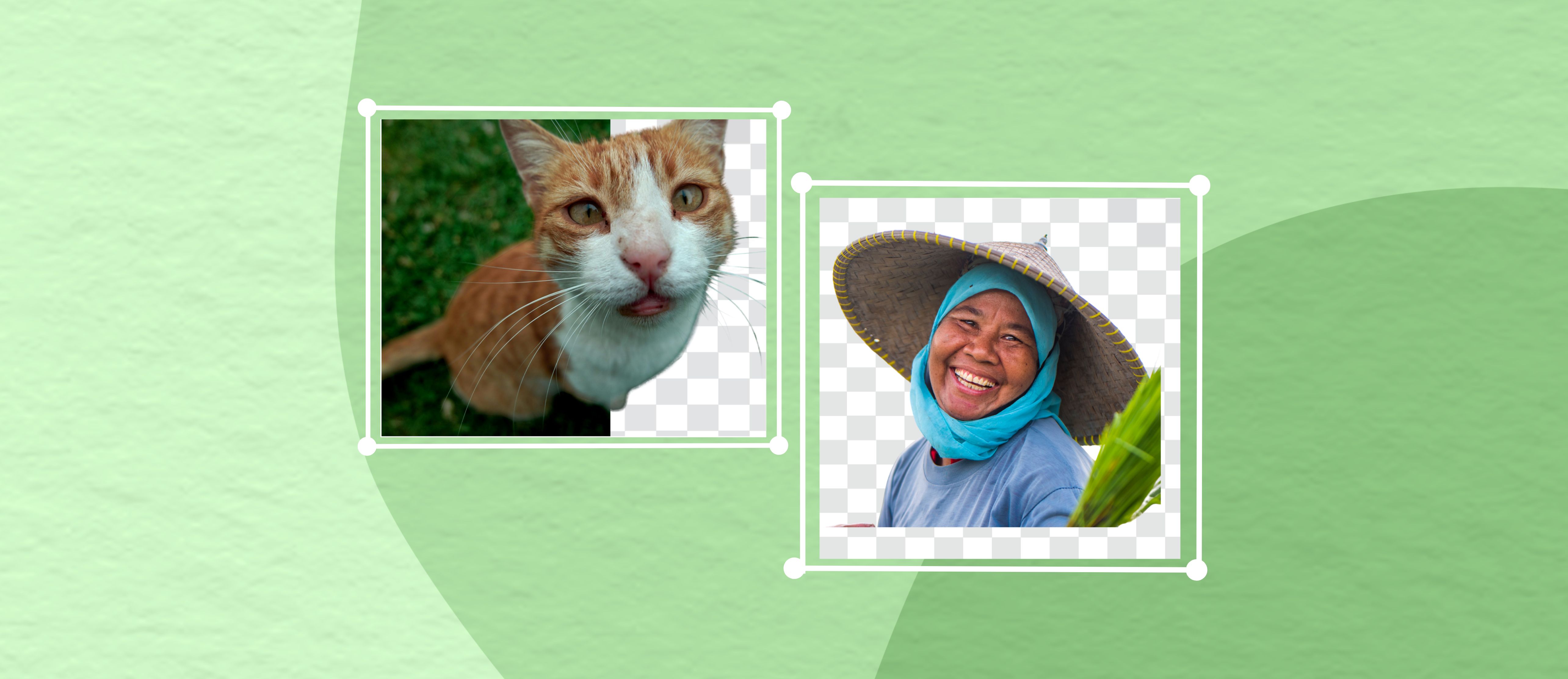 Penghapus Latar Belakang