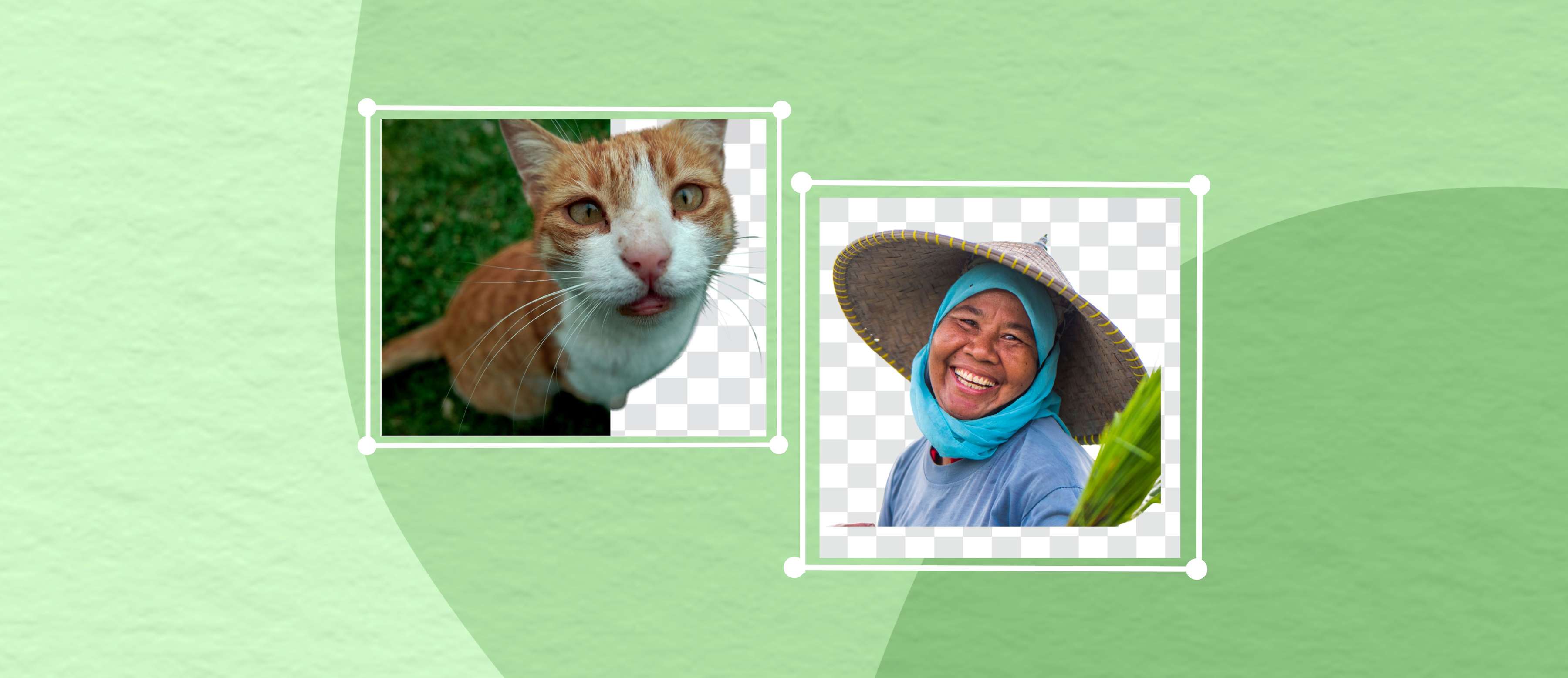 Penghapus Latar Belakang