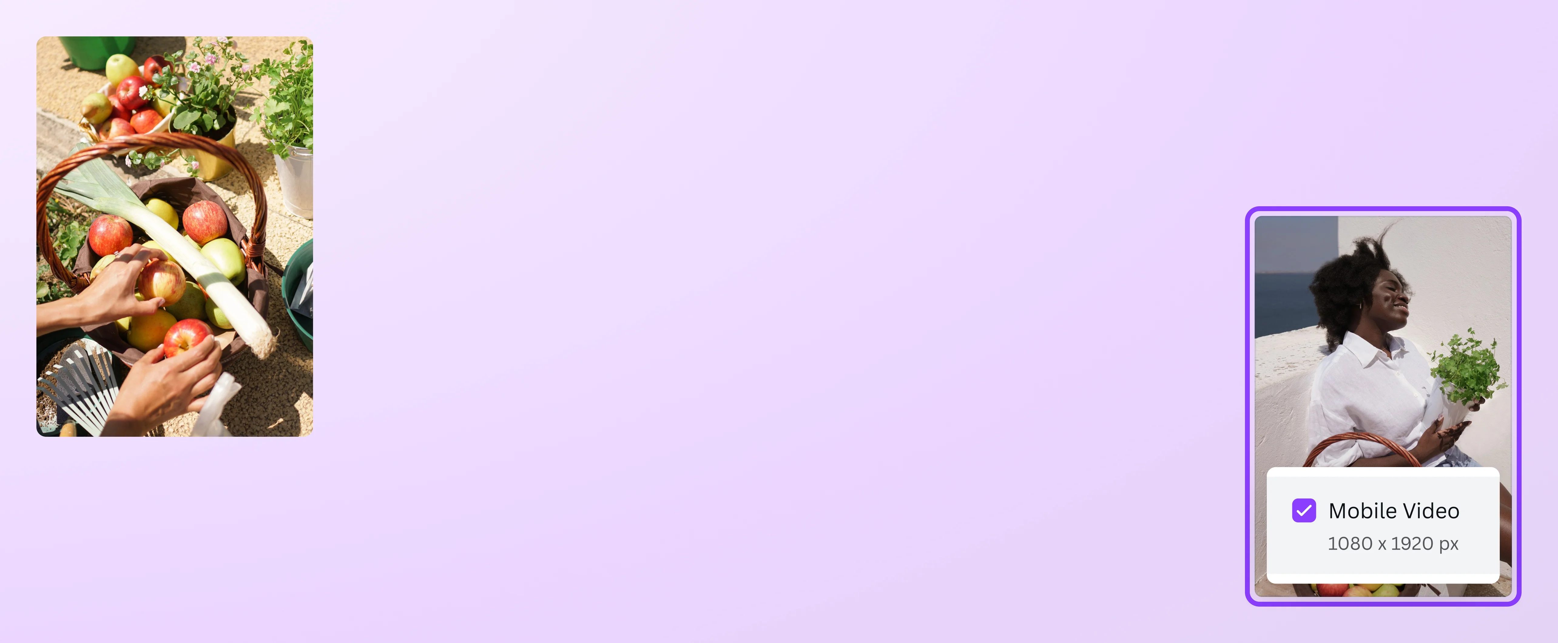 resize video canva