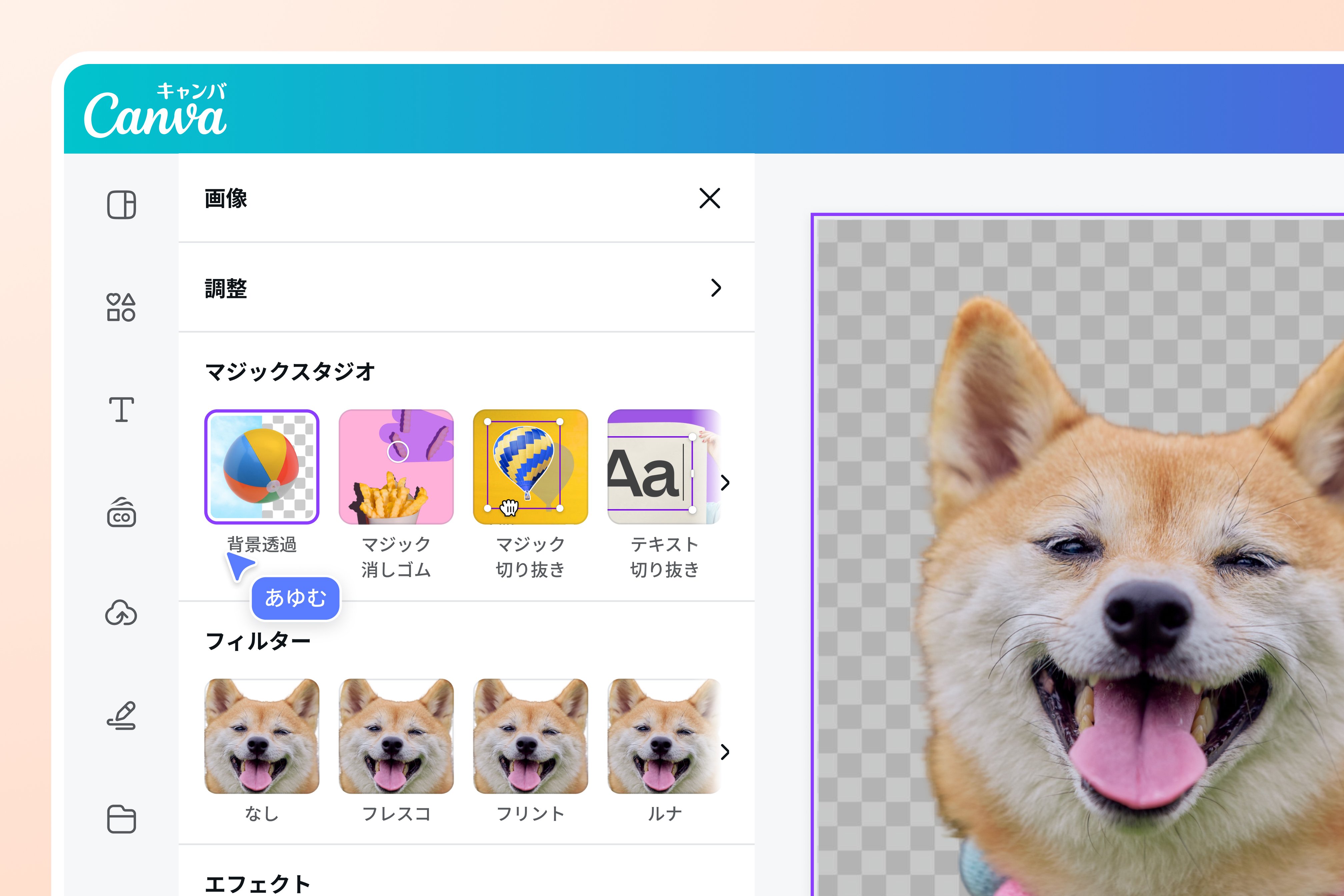 写真の可能性を最大限に引き出す