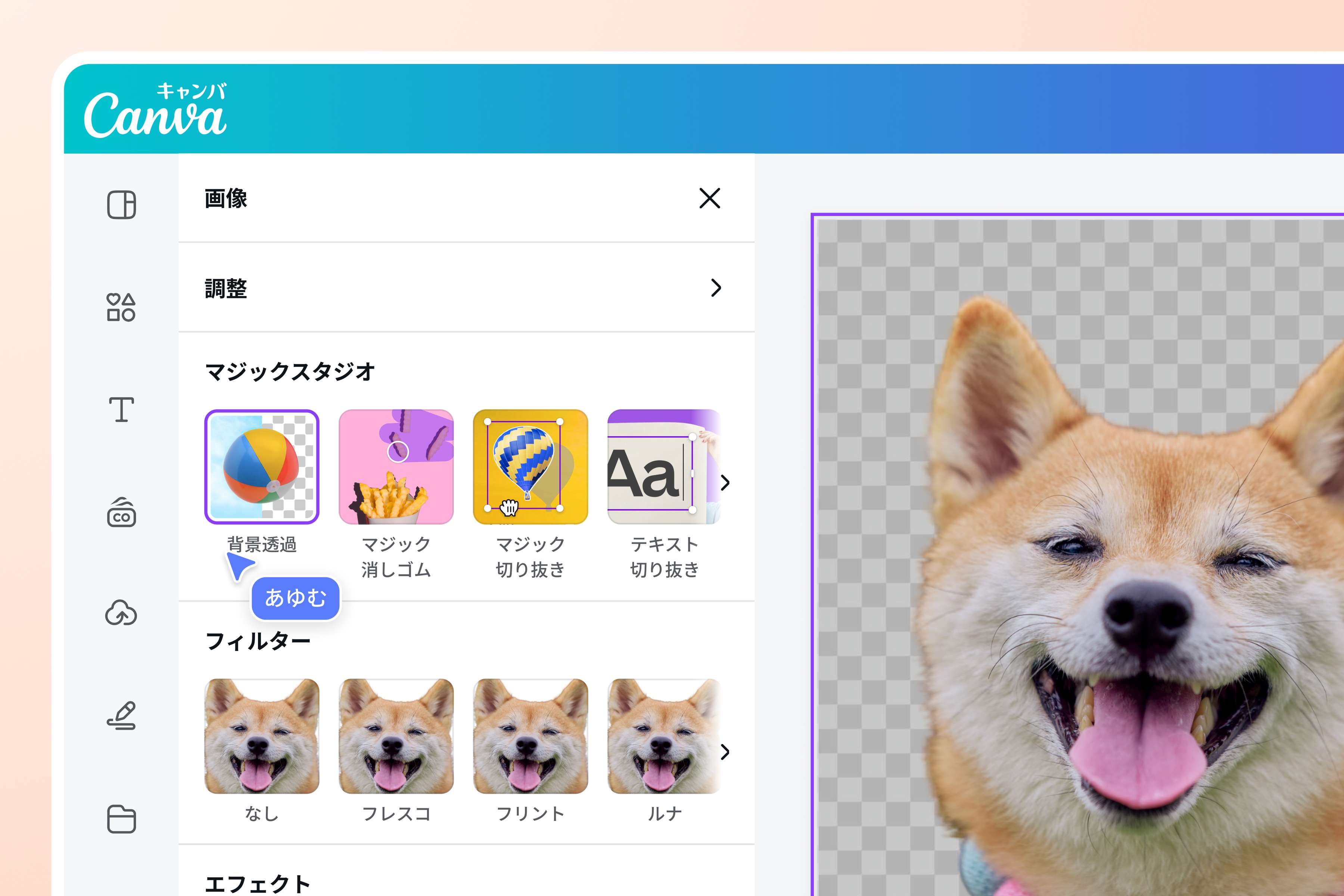 写真の可能性を最大限に引き出す